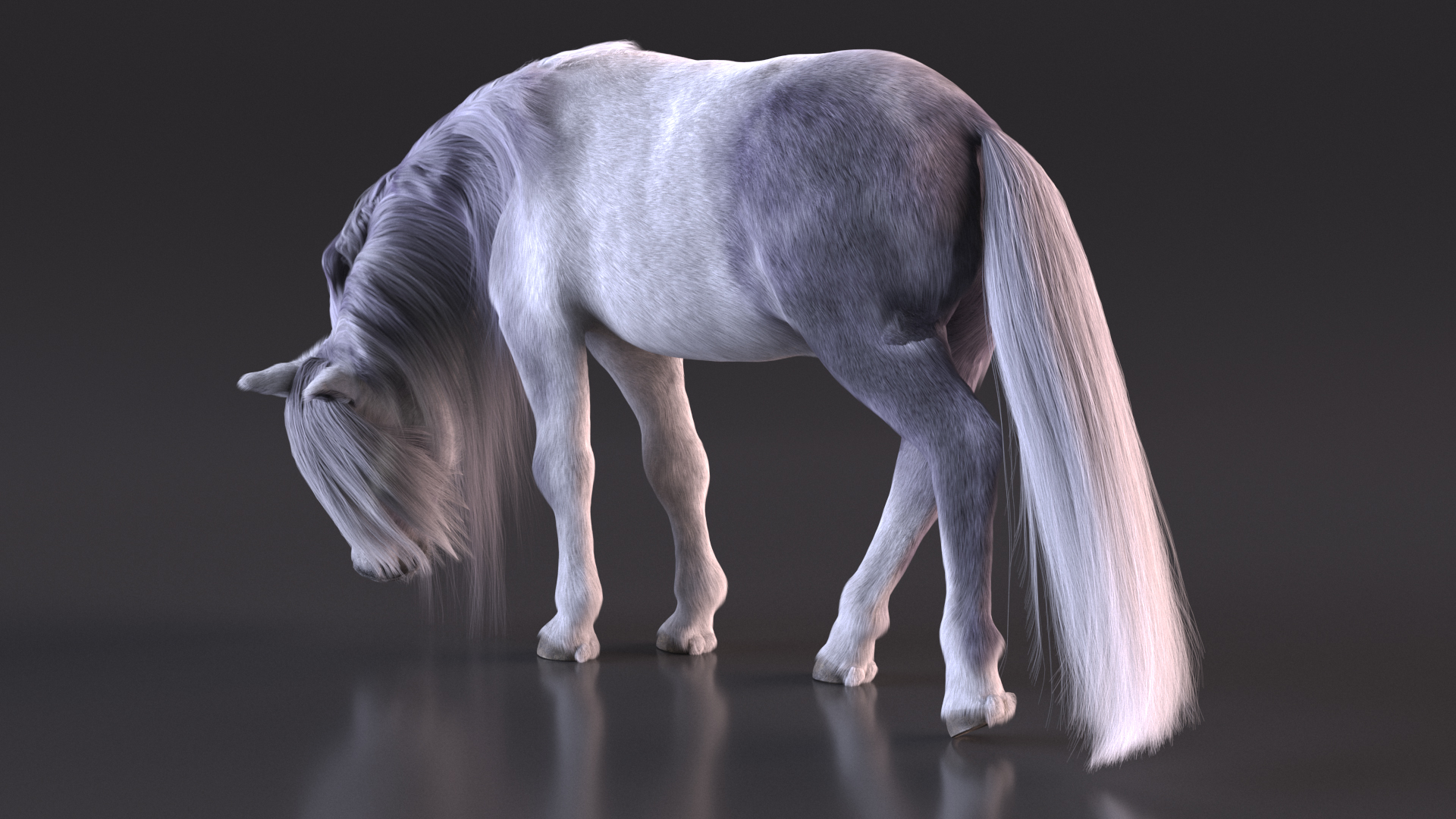 White Pony with Long Mane Grazing Fur 3D