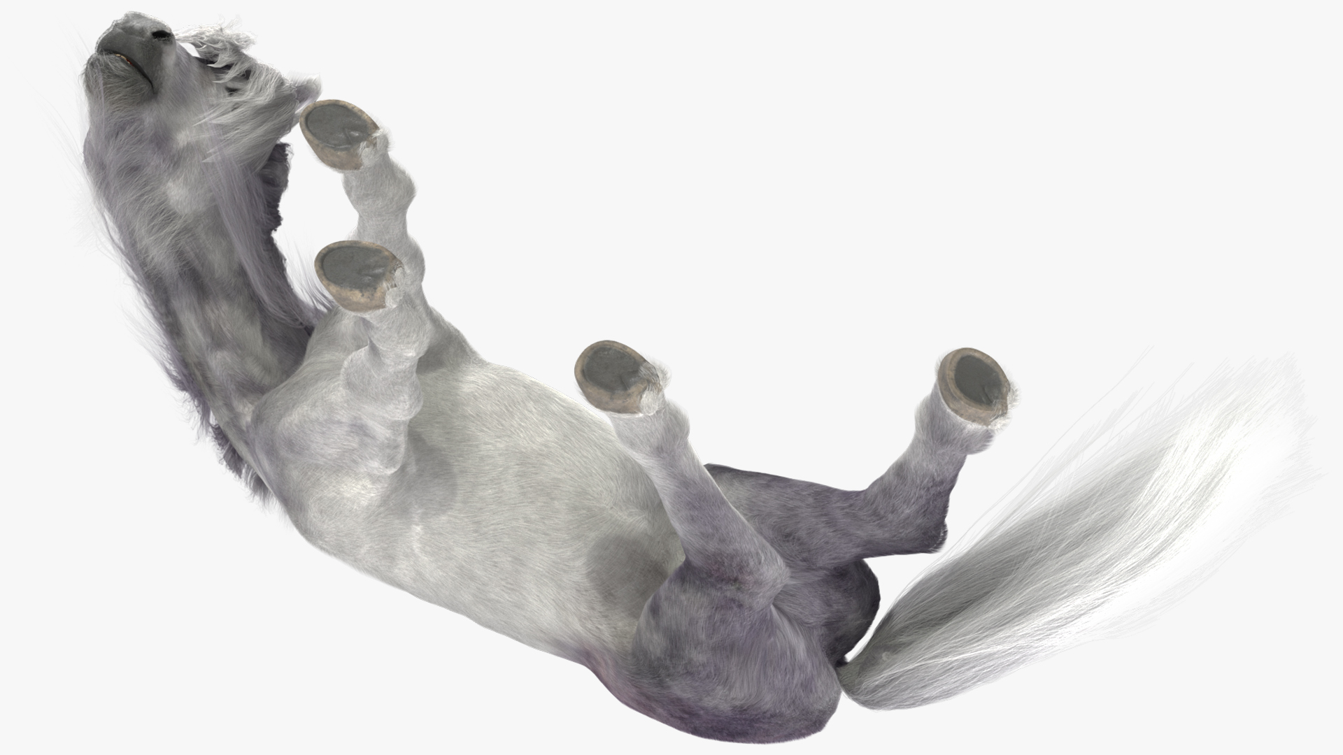White Pony with Long Mane Grazing Fur 3D