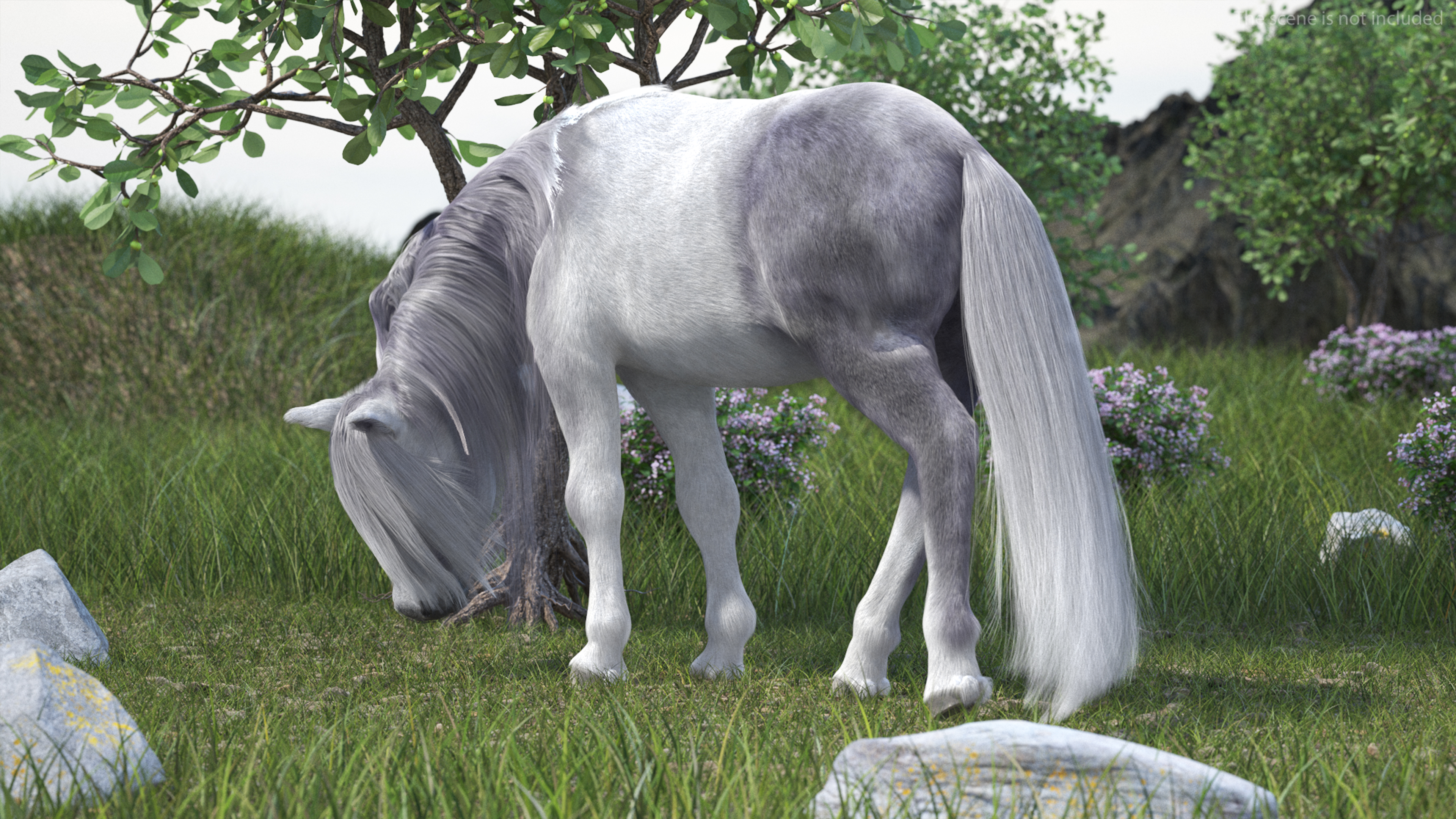 White Pony with Long Mane Grazing Fur 3D