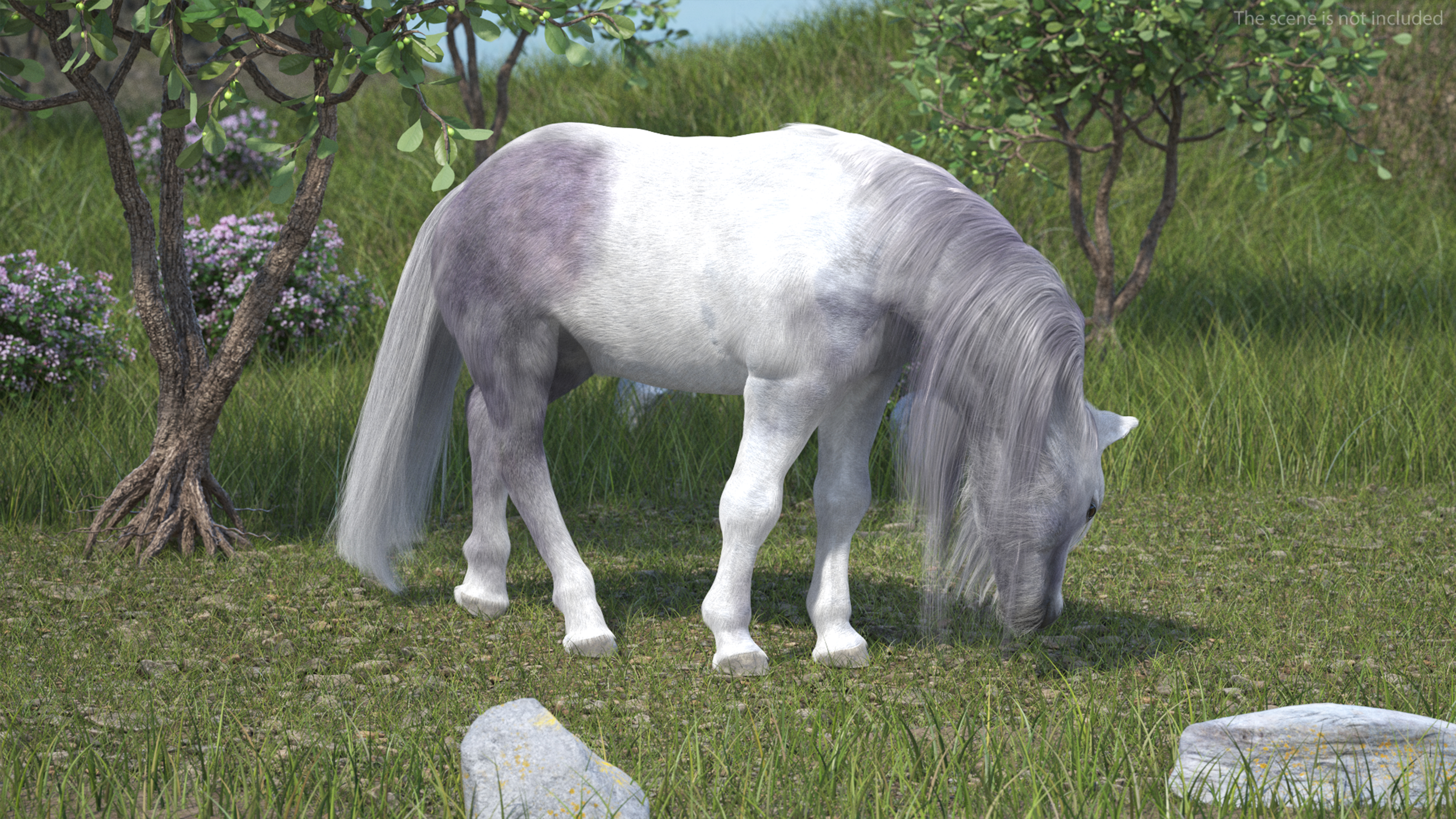 White Pony with Long Mane Grazing Fur 3D