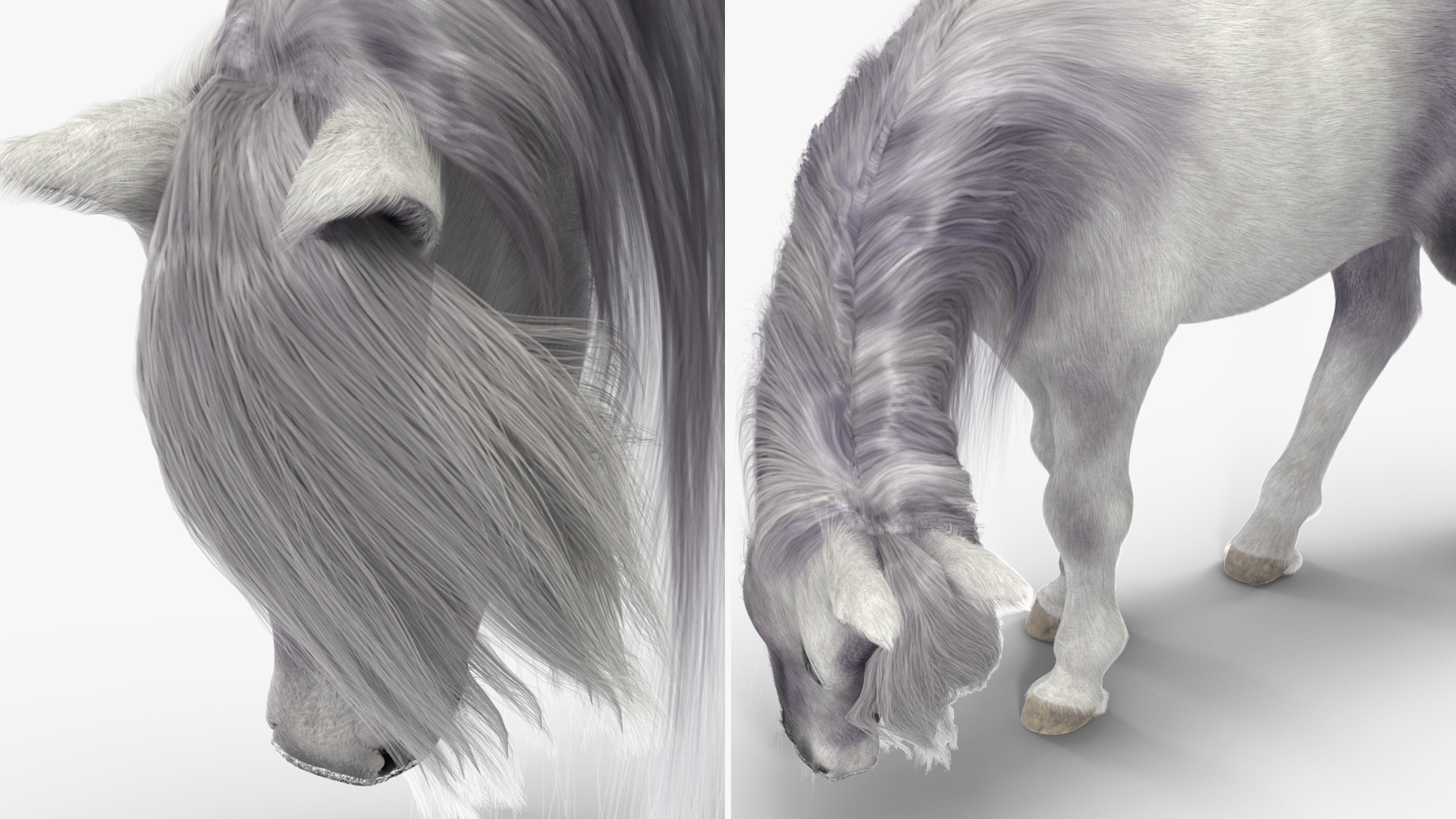 White Pony with Long Mane Grazing Fur 3D