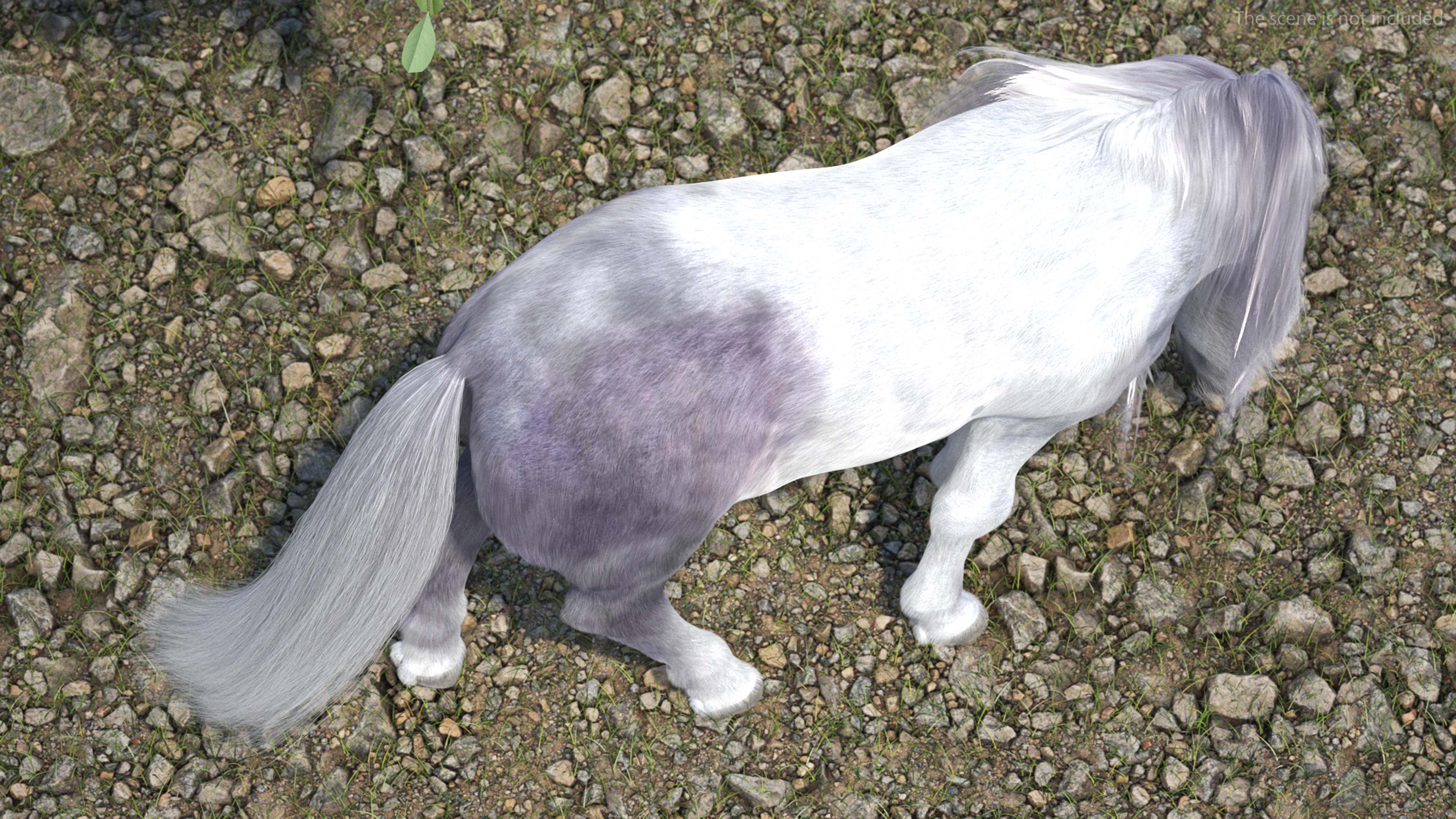 White Pony with Long Mane Grazing Fur 3D
