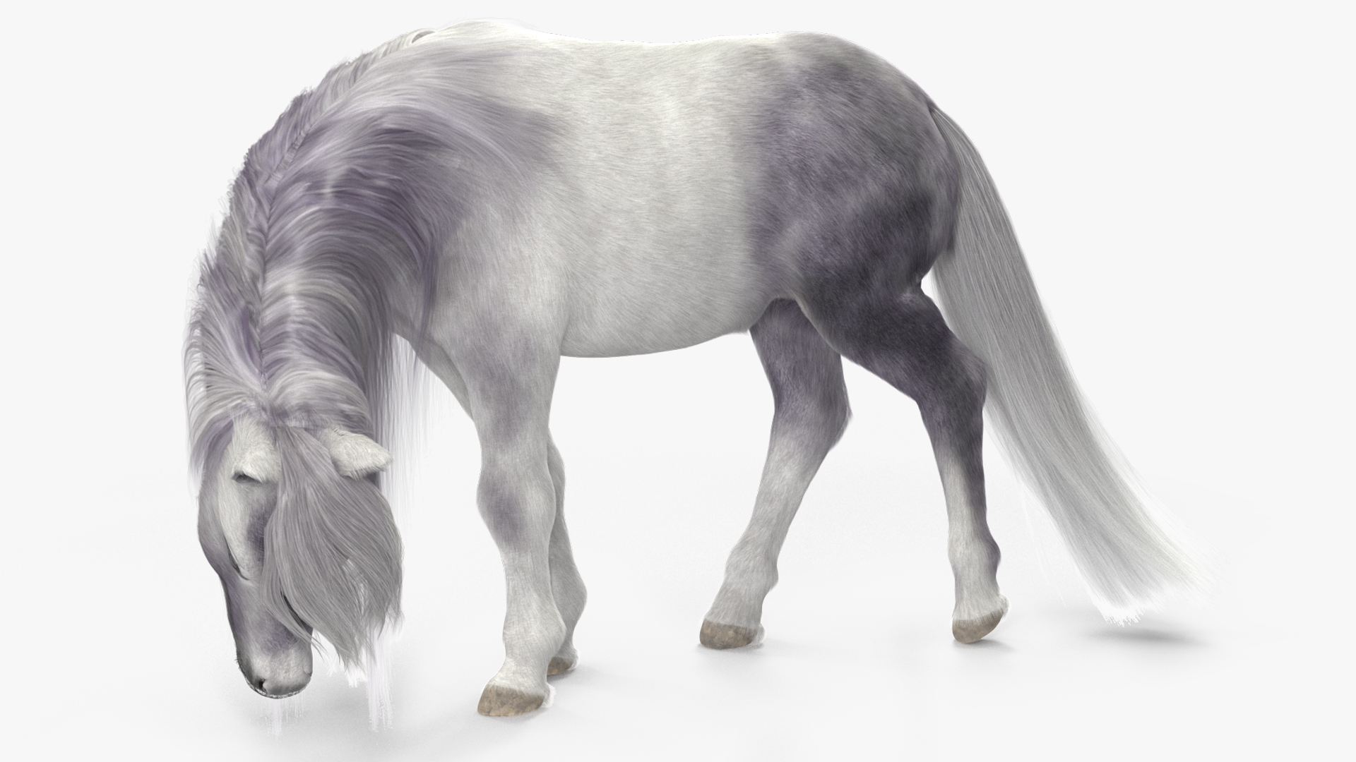 White Pony with Long Mane Grazing Fur 3D