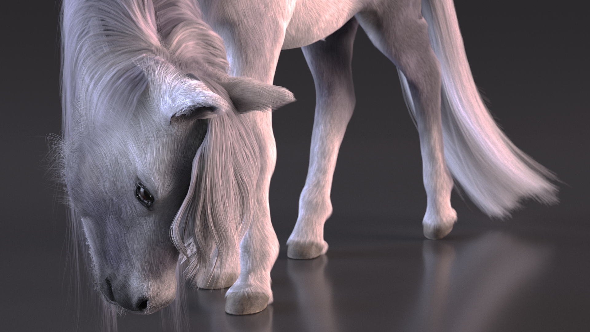 White Pony with Long Mane Grazing Fur 3D