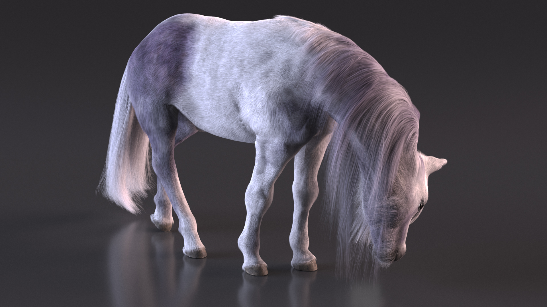White Pony with Long Mane Grazing Fur 3D