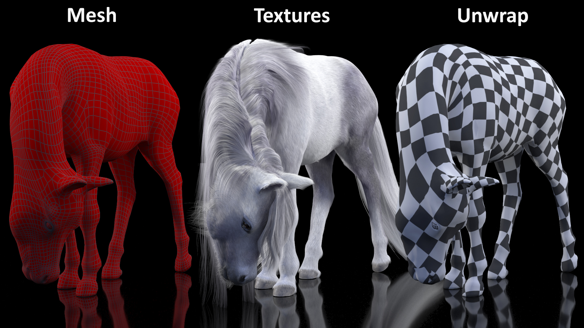 White Pony with Long Mane Grazing Fur 3D