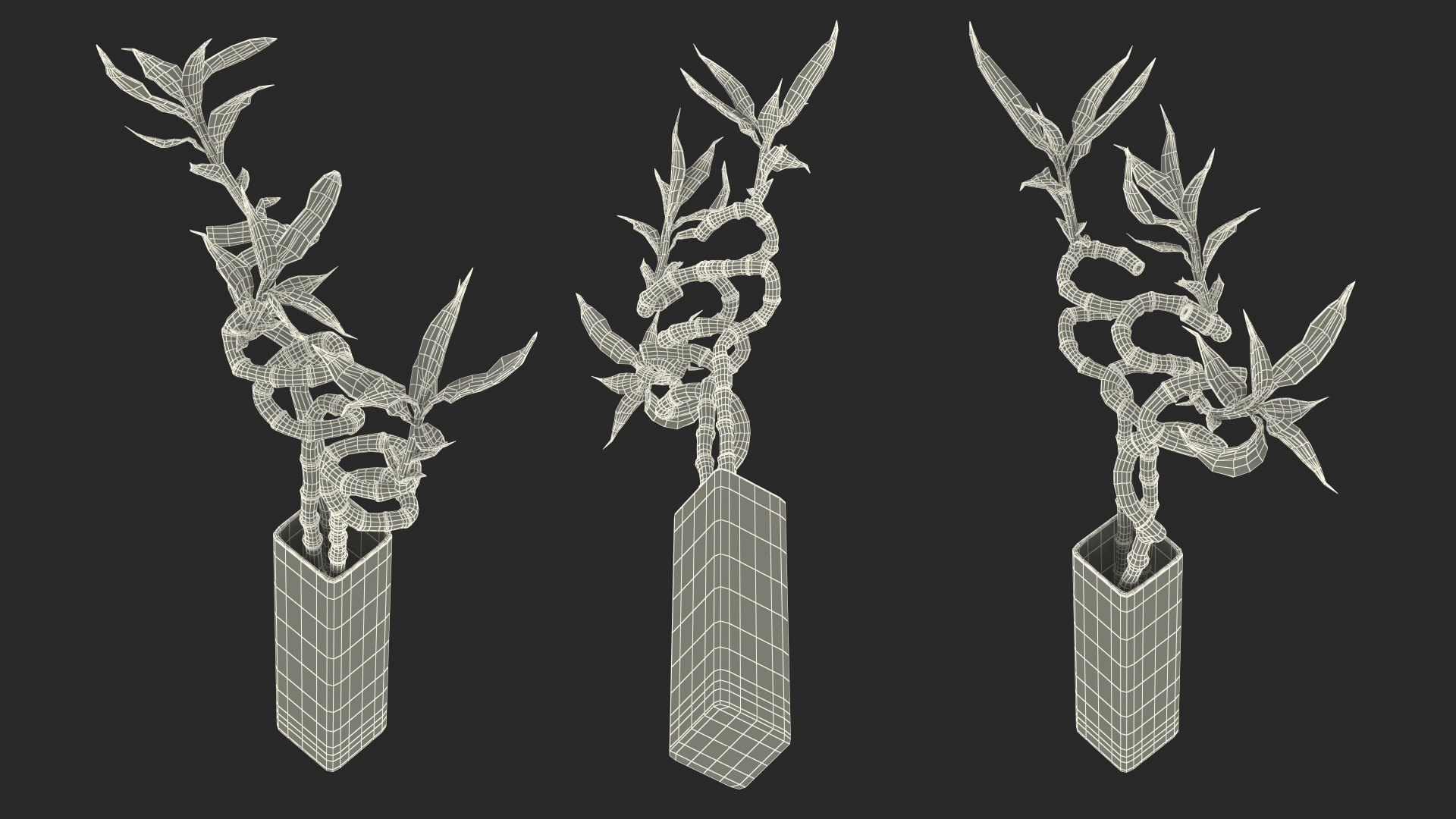 3D model Lucky Bamboo Bouquet