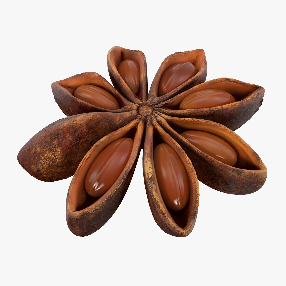 Star Anise