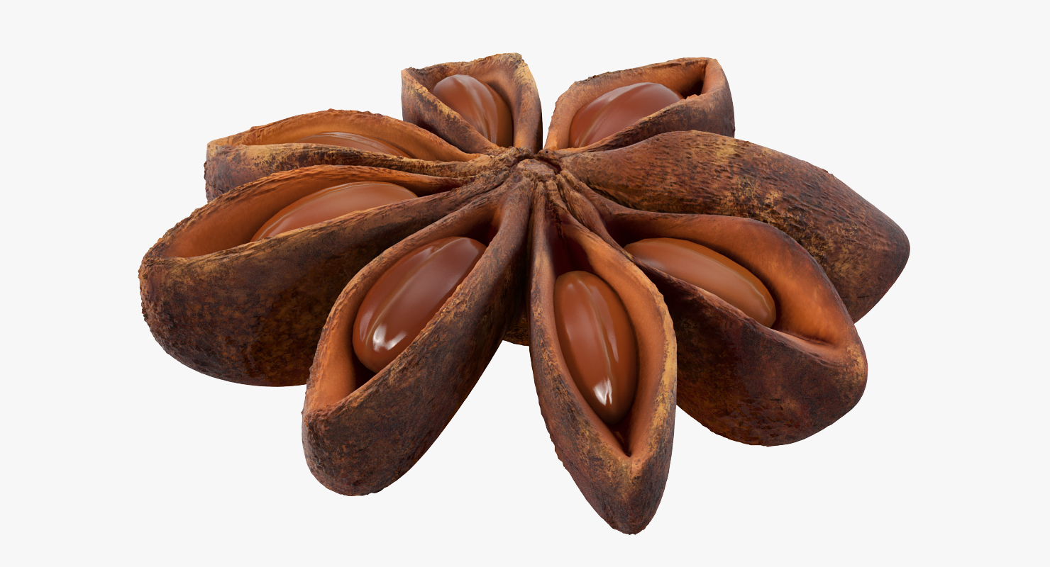 3D model Star Anise