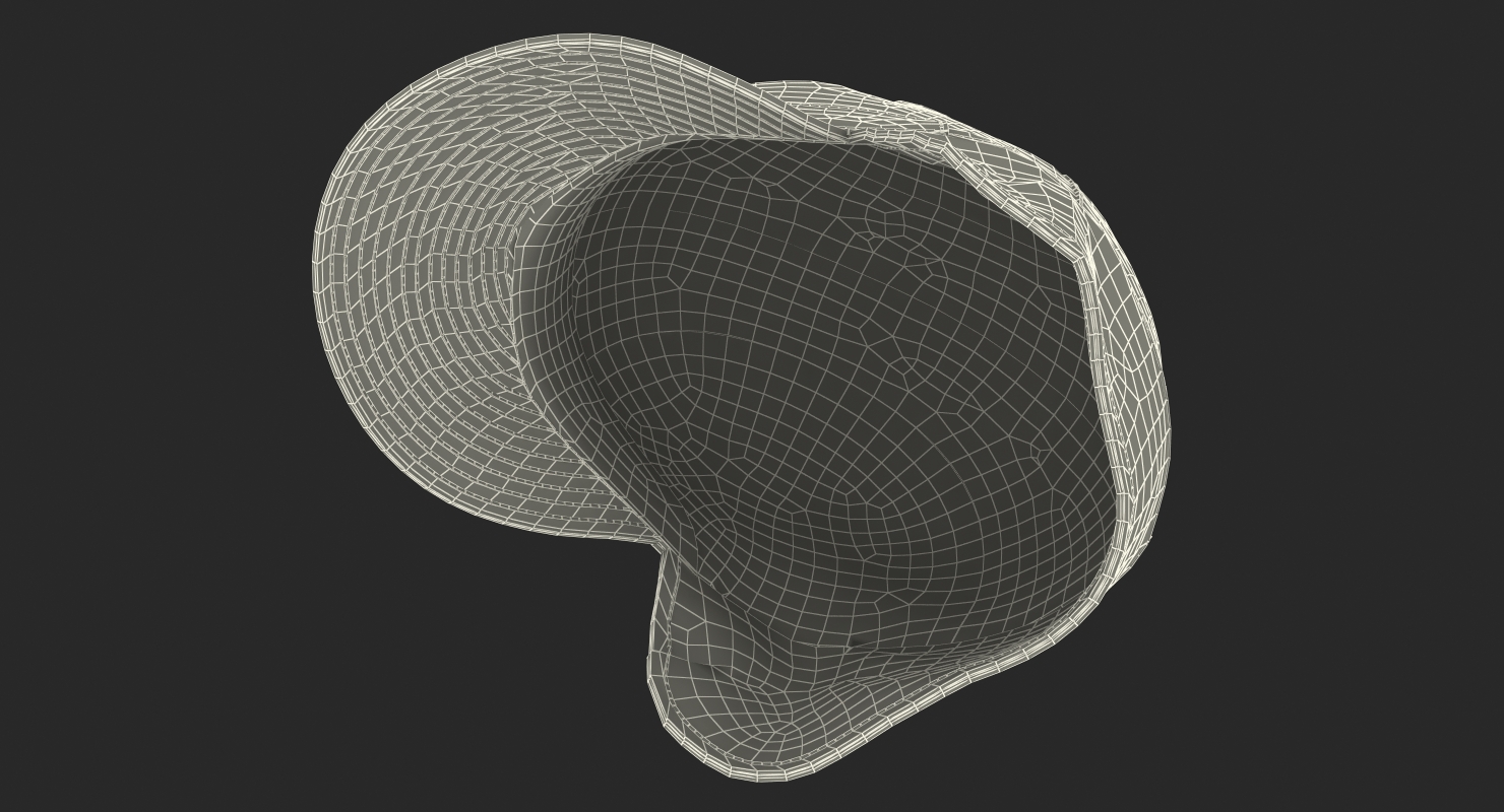 3D model Field Cap with Earflaps Olive Green