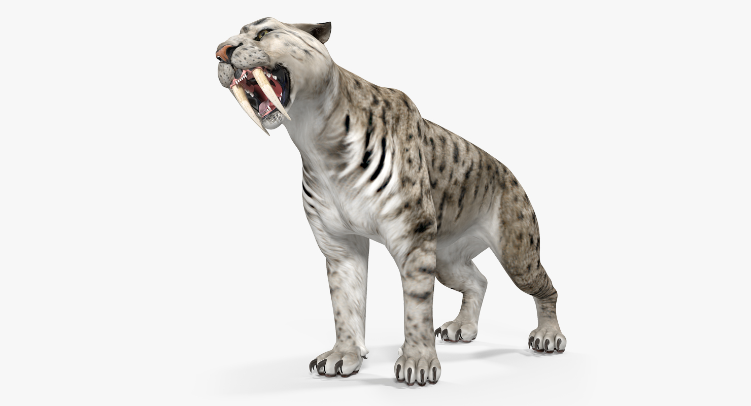 Arctic Saber Tooth Cat Growls Pose 3D model