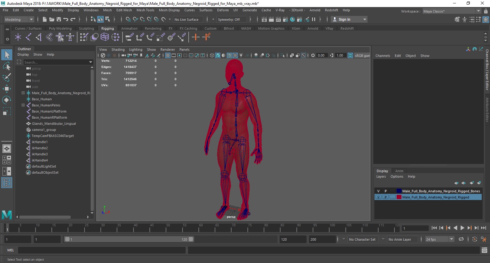 3D Male Full Body Anatomy Negroid Rigged for Maya