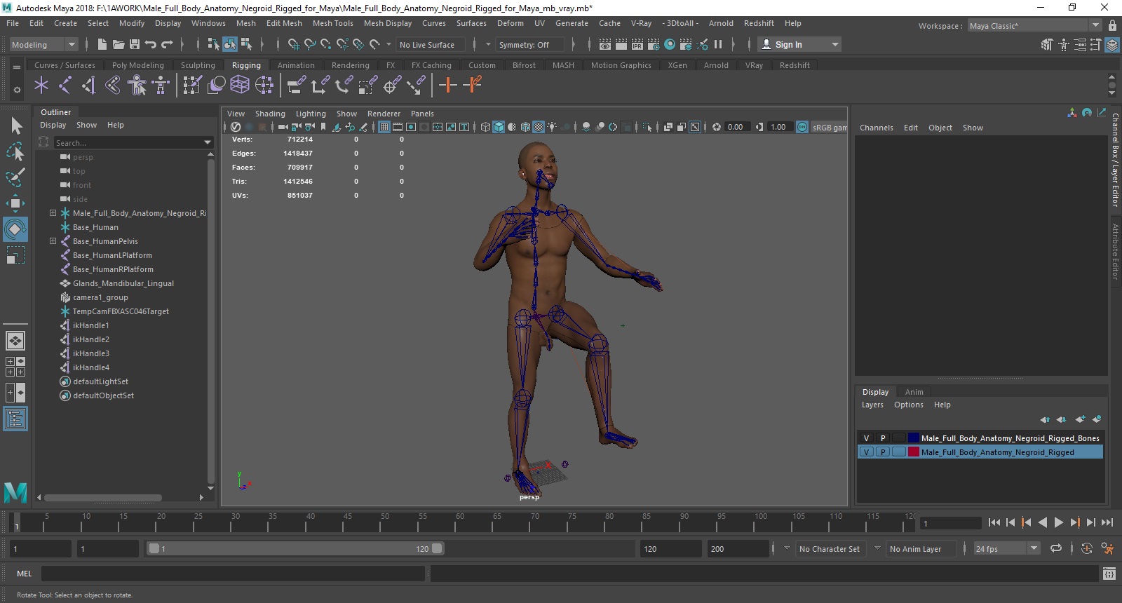 3D Male Full Body Anatomy Negroid Rigged for Maya