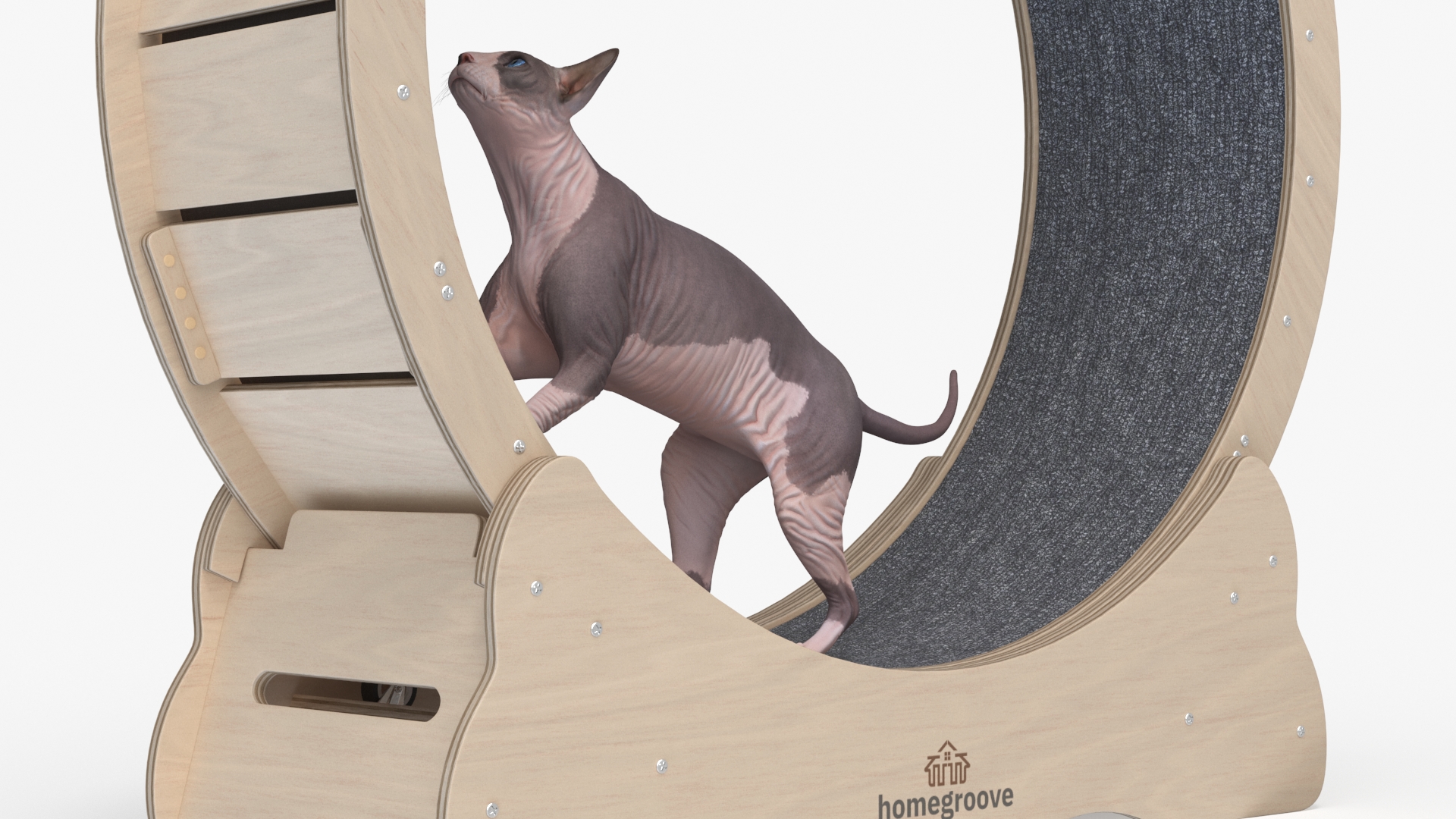 3D Wooden Exercise Wheel by Homegroove for Cat model