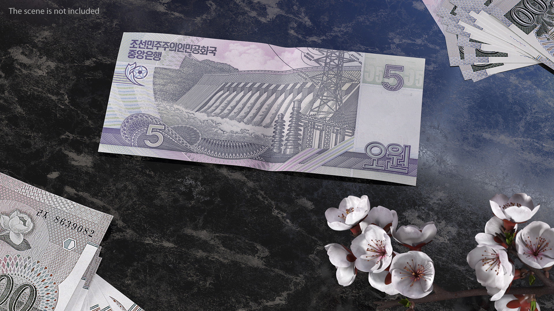 3D North Korea 5 Won Banknote