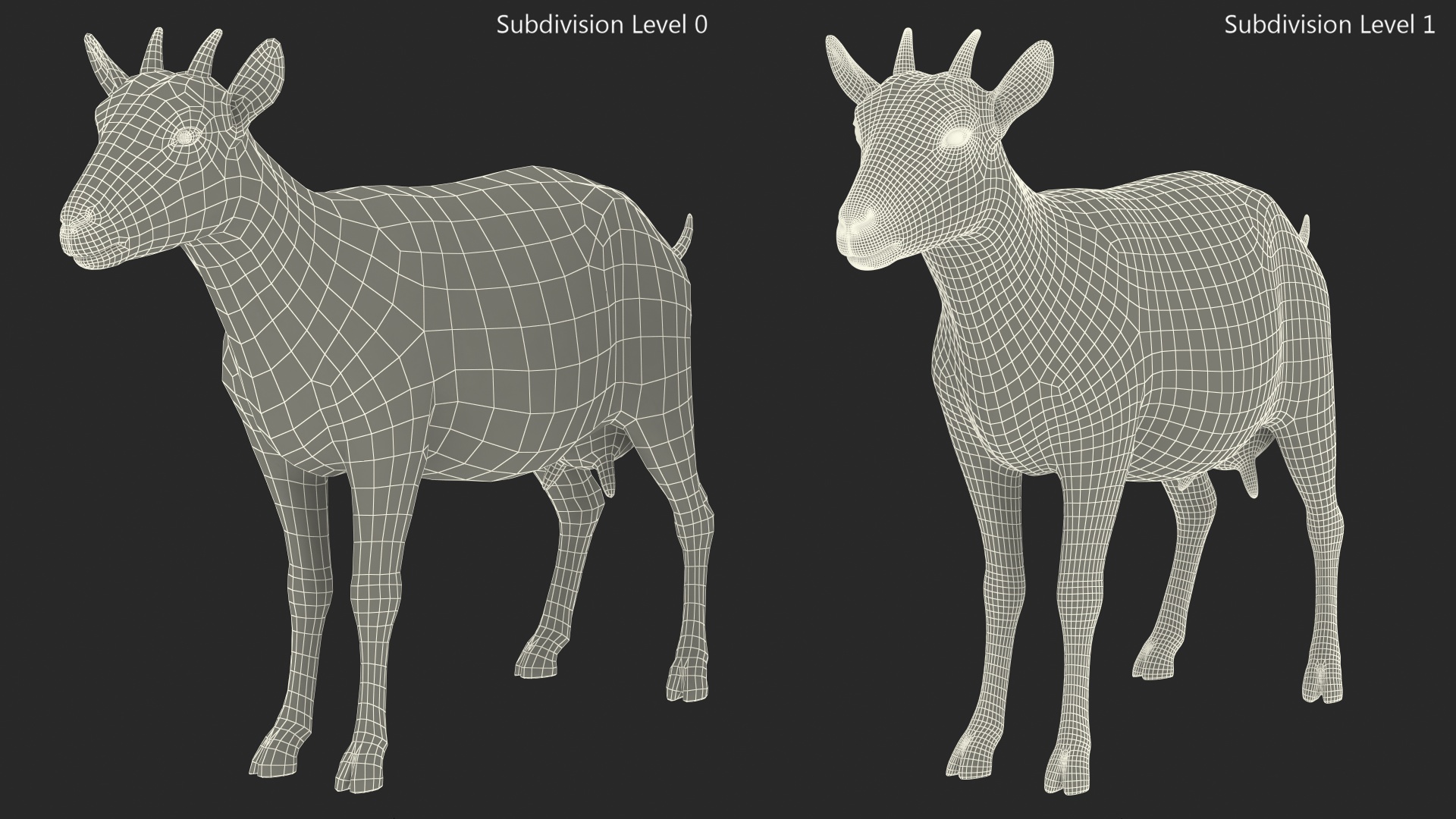 3D Domestic Goat model