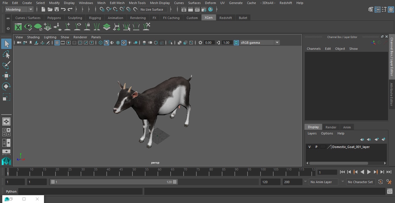 3D Domestic Goat model