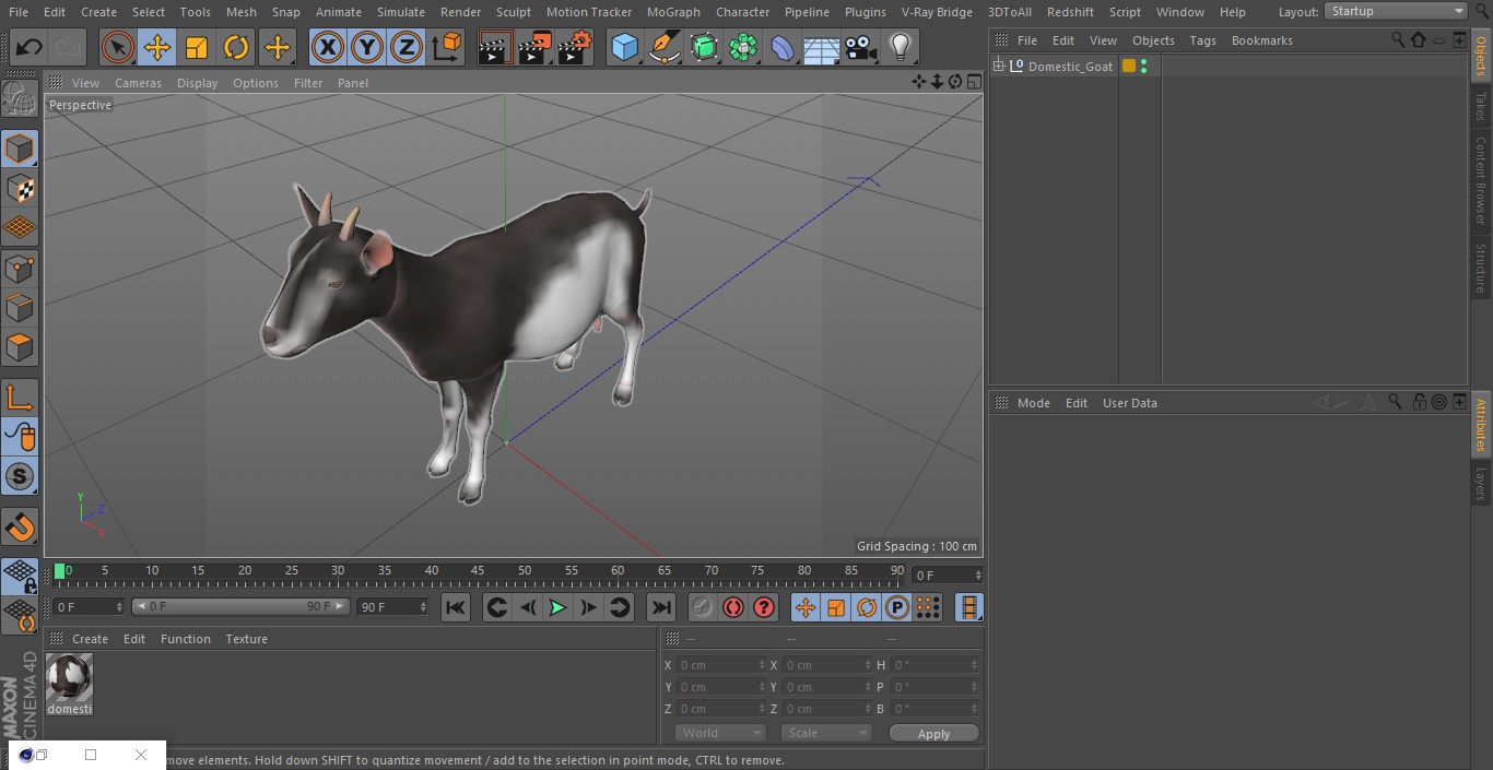 3D Domestic Goat model