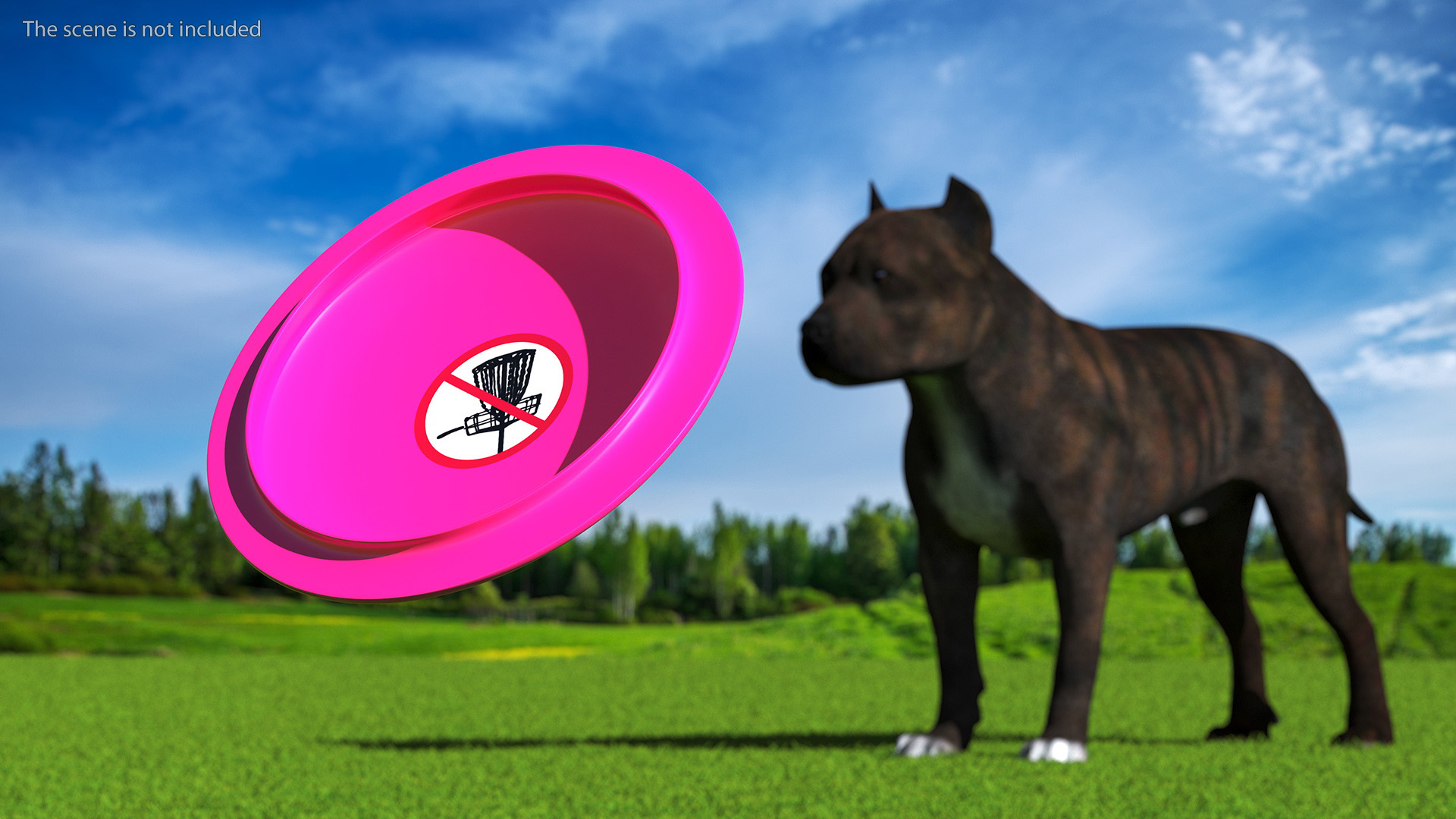 3D Frisbee Fetch Saucer Dog Toy model