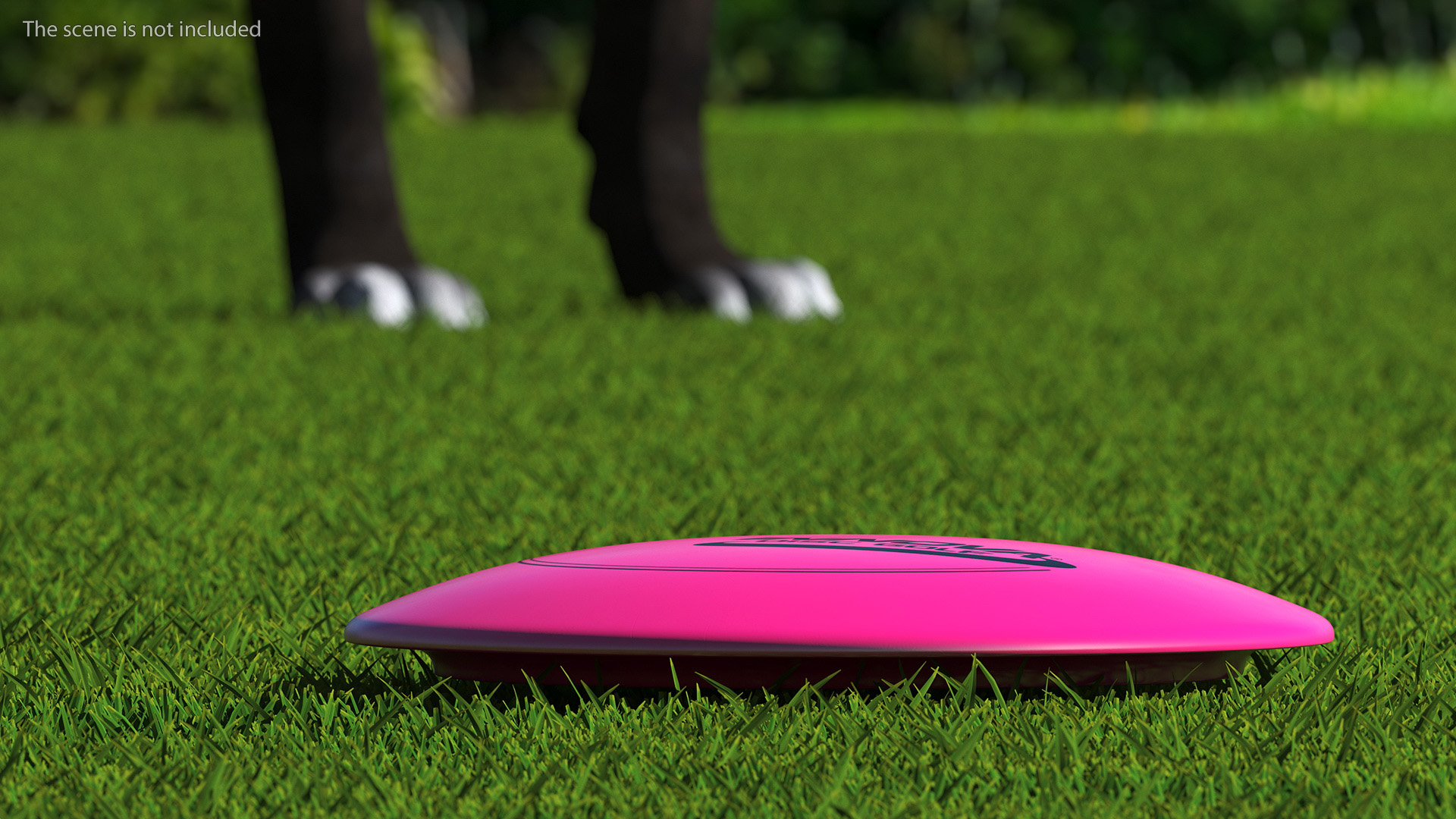 3D Frisbee Fetch Saucer Dog Toy model
