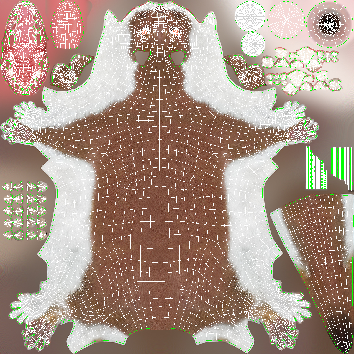 3D model Stoat Brown Fur