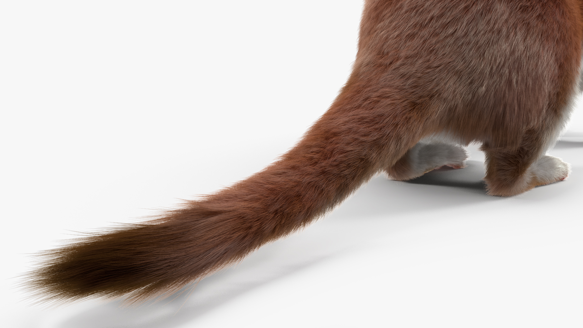 3D model Stoat Brown Fur