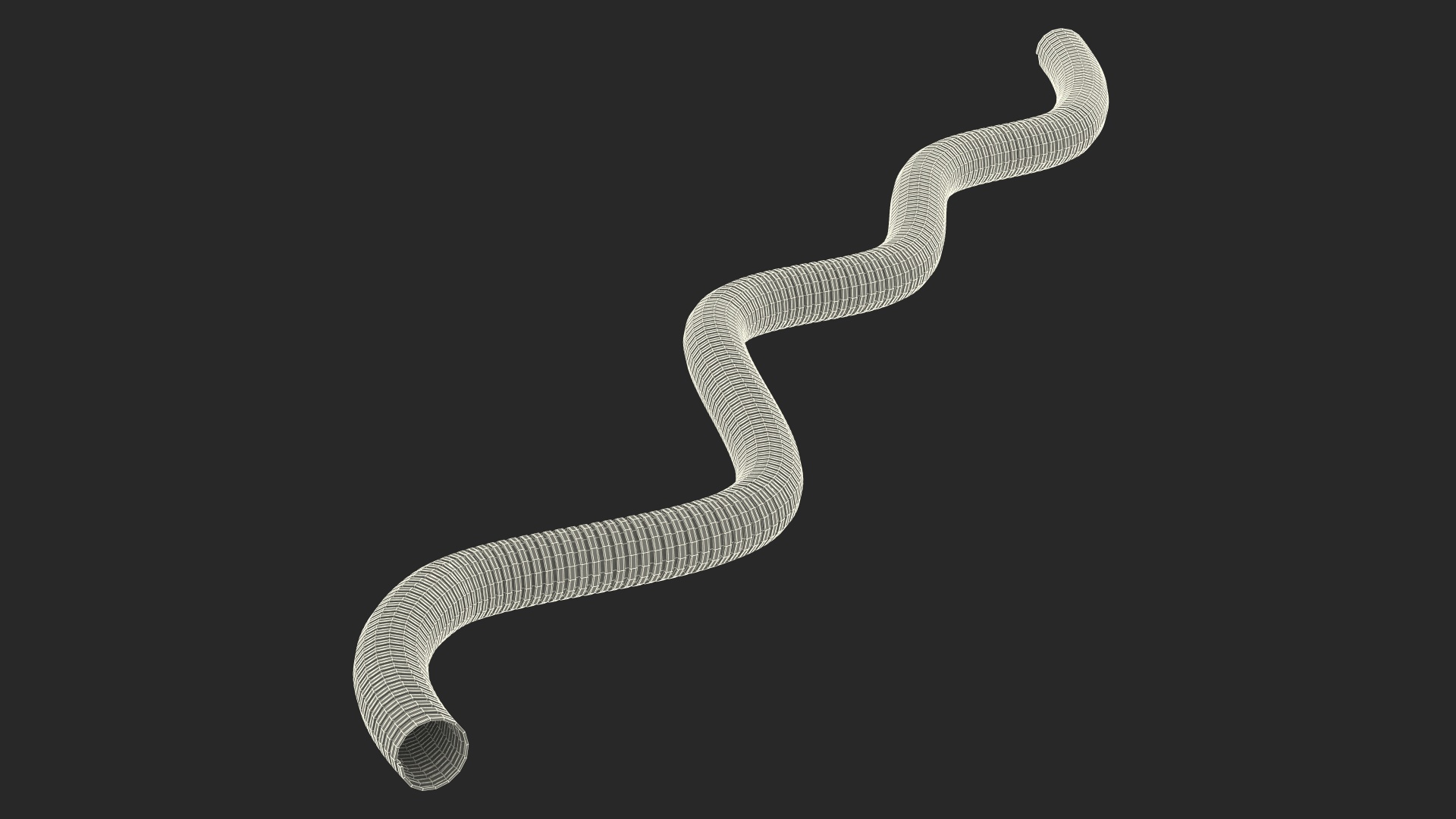 3D model Galvanized Steel Flexible Conduit Rigged