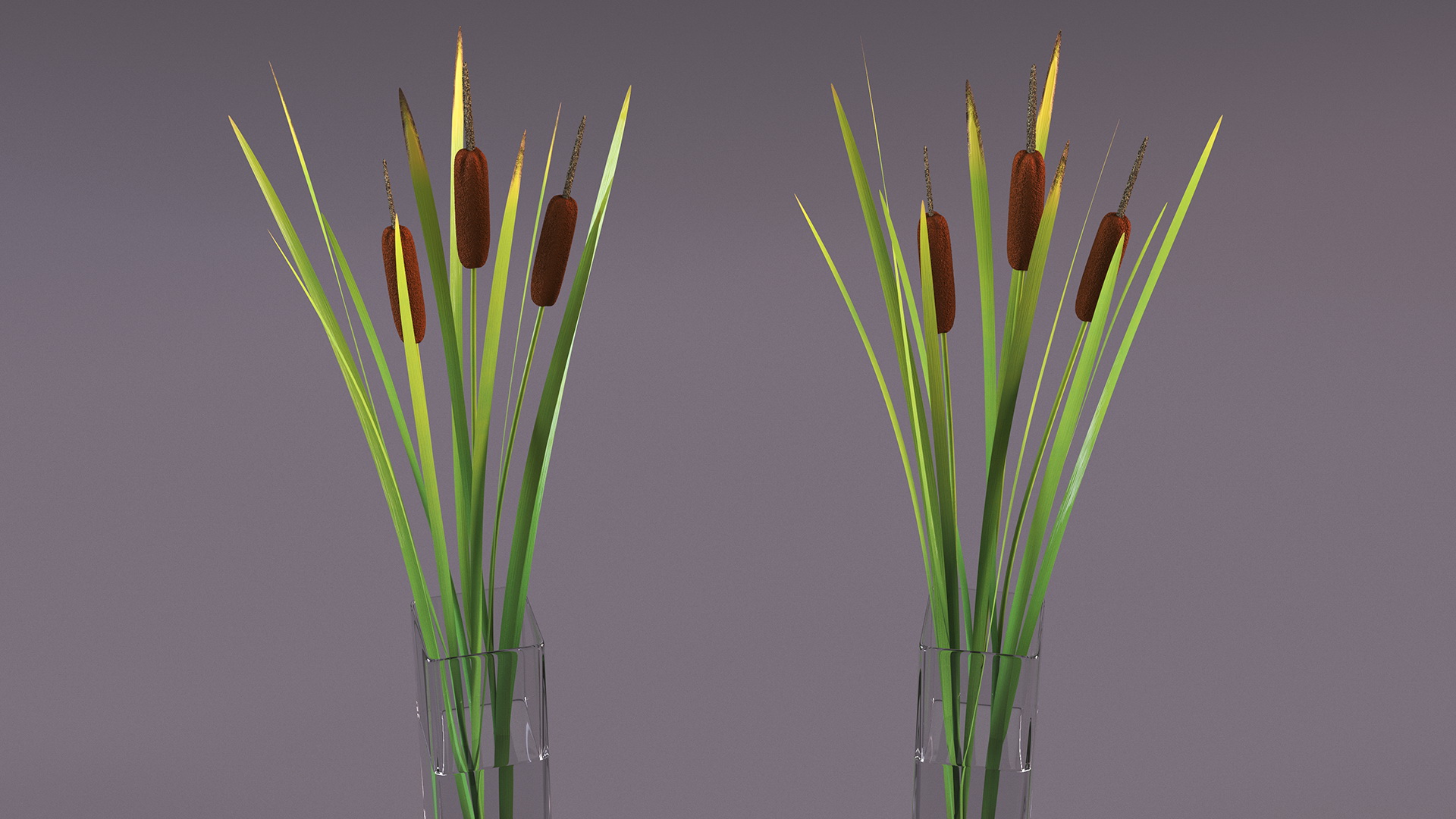 3D Cattail in Glass Vase