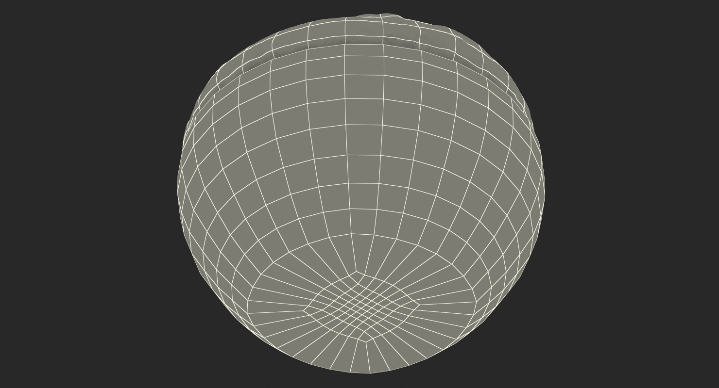 Raw Dough in Bowl 3D