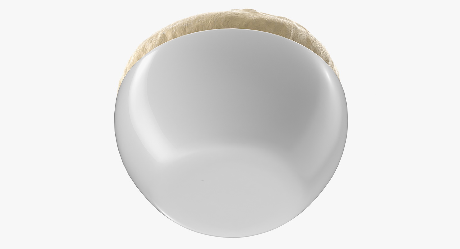 Raw Dough in Bowl 3D