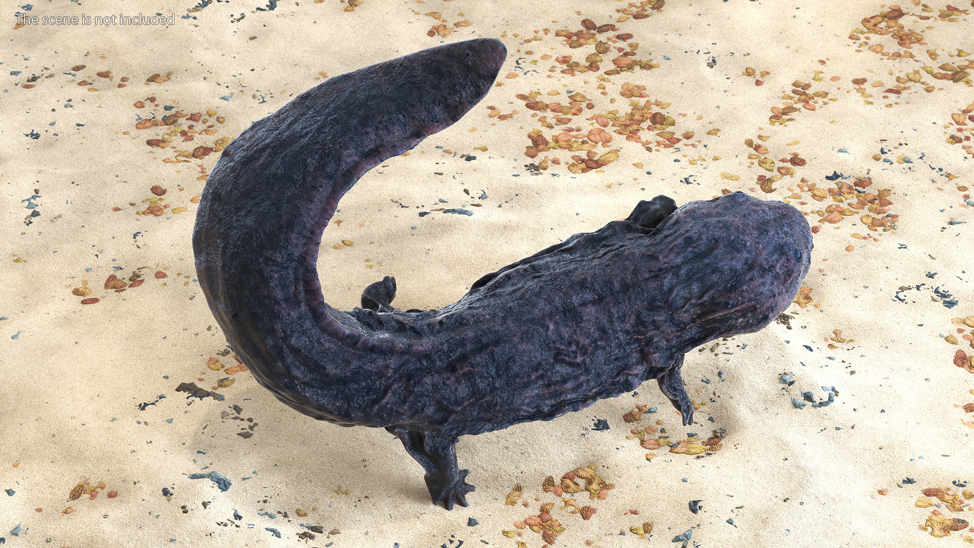 Andrias Davidianus Dark Wet Rigged 3D model