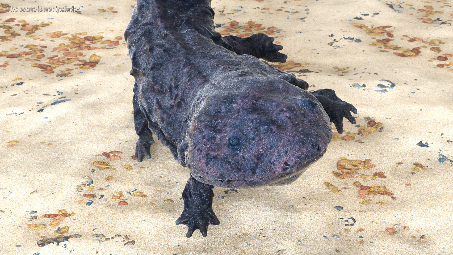 Andrias Davidianus Dark Wet Rigged 3D model