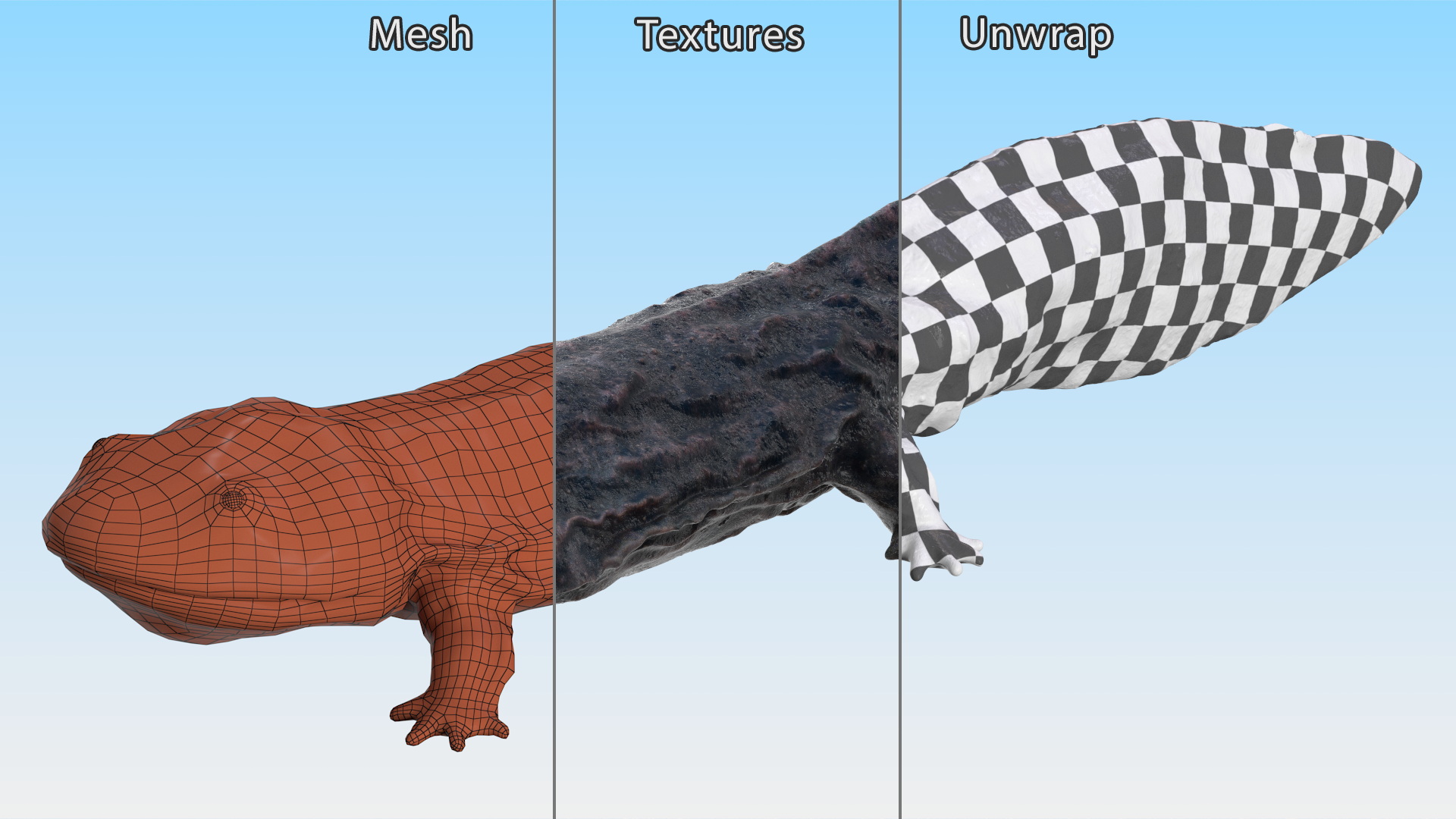 Andrias Davidianus Dark Wet Rigged 3D model