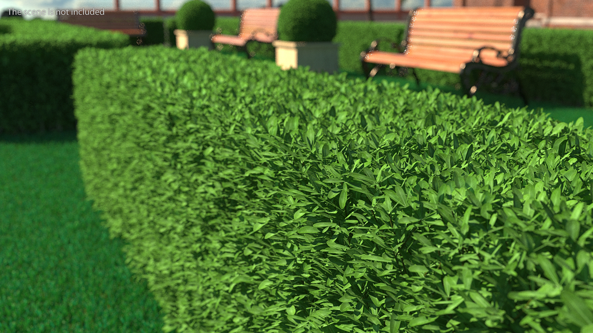 Boxwood Hedge Fence 3D model