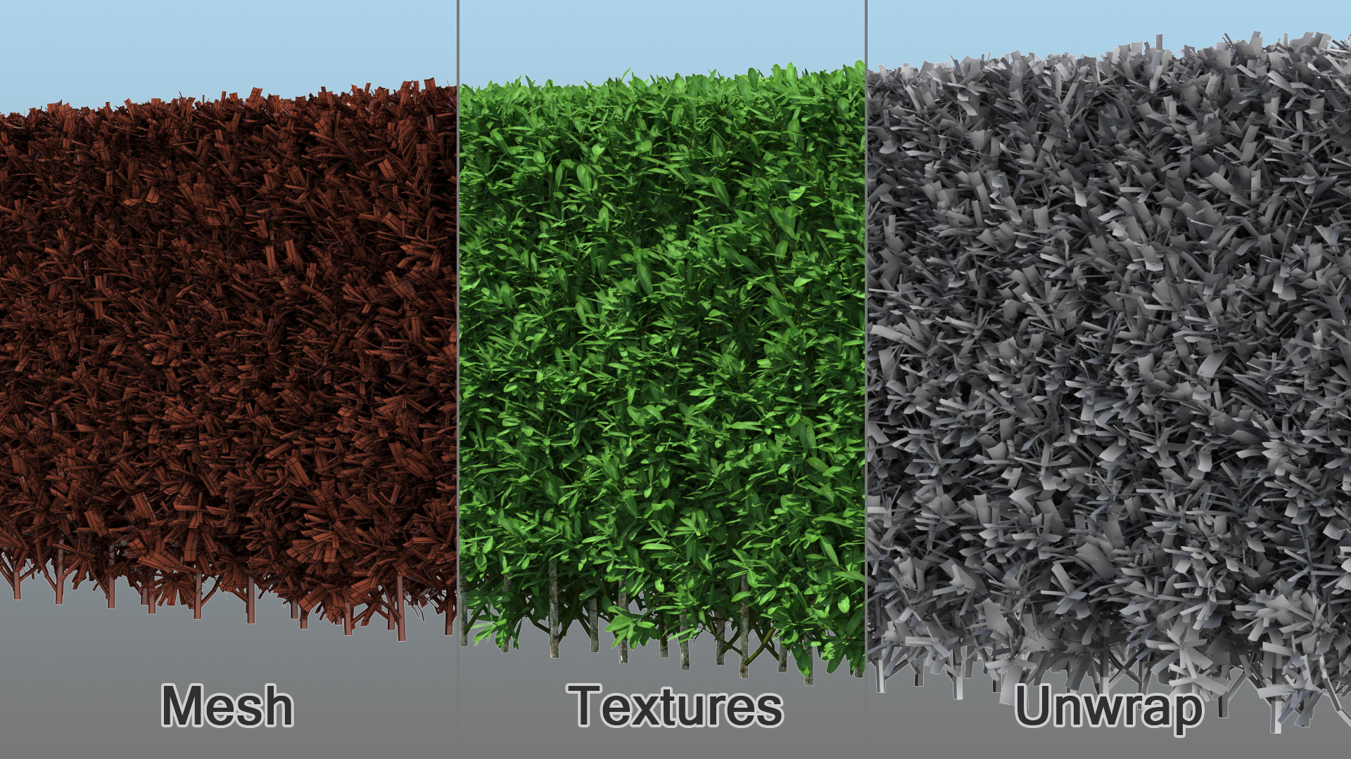 Boxwood Hedge Fence 3D model
