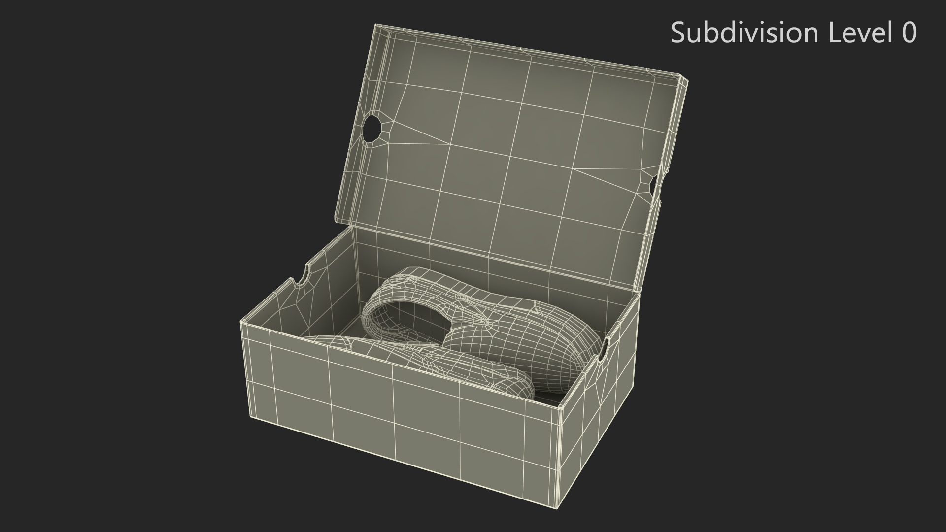 Classic Slip-On Vans in Box 3D