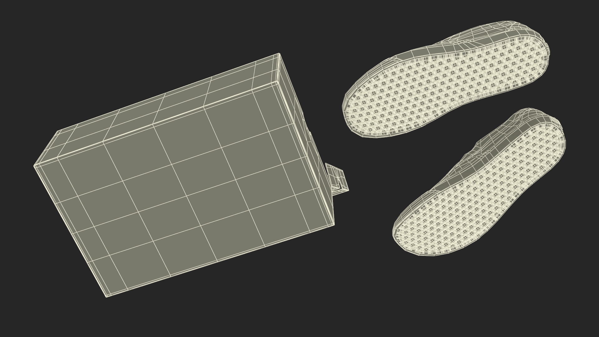 Classic Slip-On Vans in Box 3D