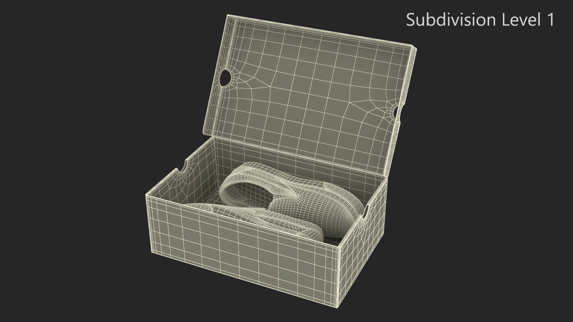 Classic Slip-On Vans in Box 3D