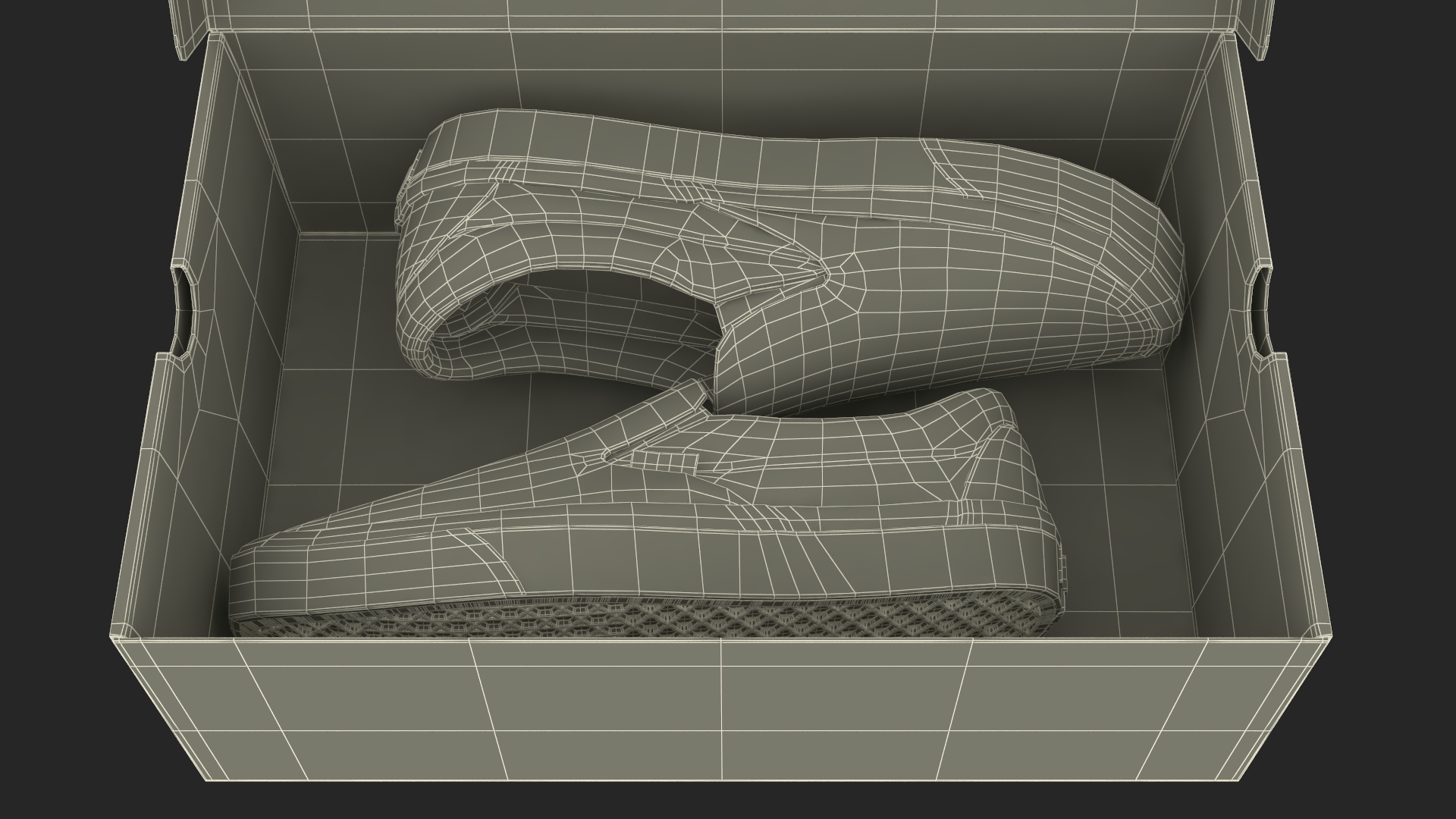 Classic Slip-On Vans in Box 3D