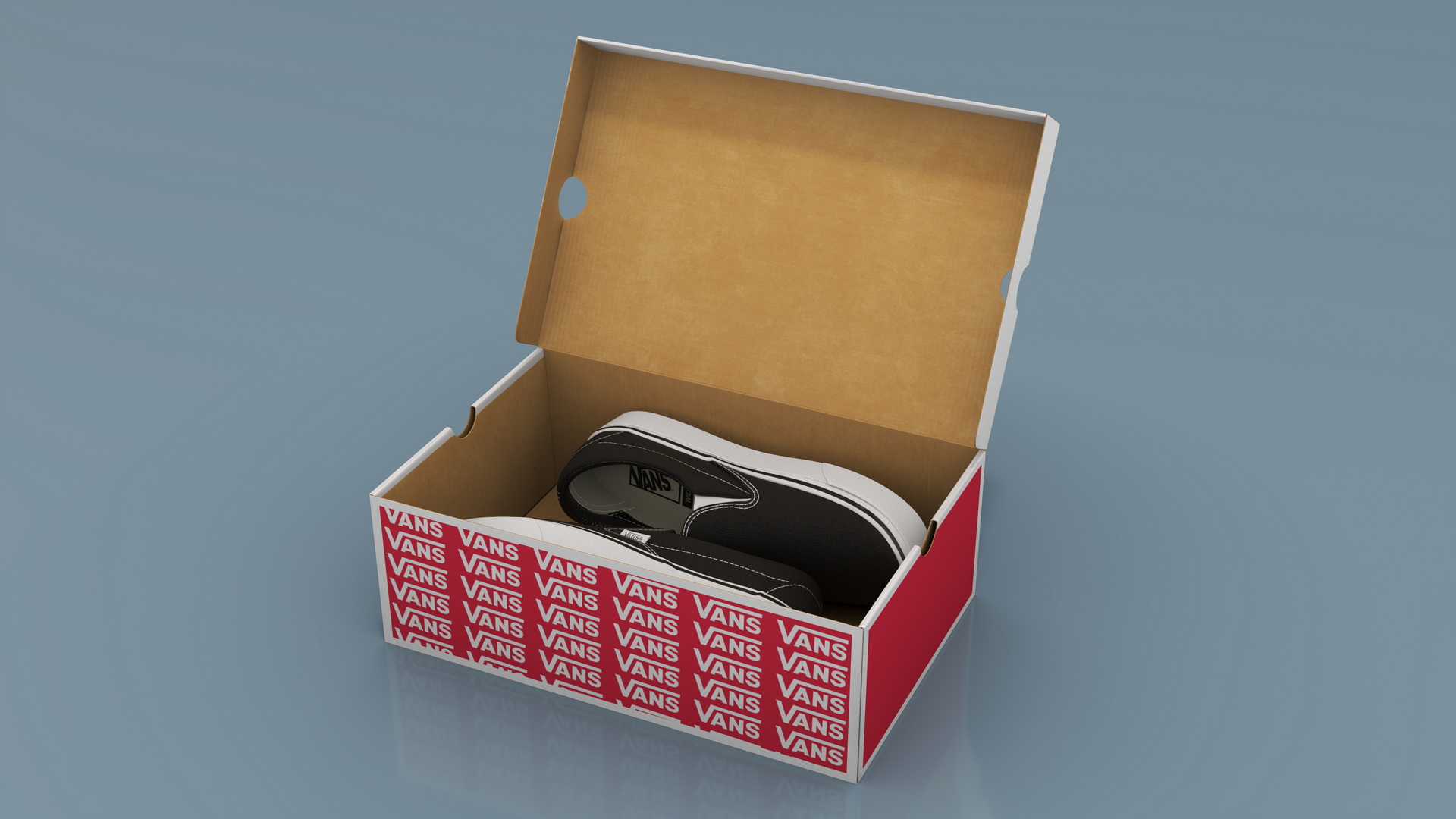Classic Slip-On Vans in Box 3D