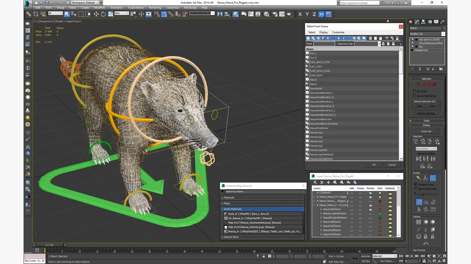 Nasua Nasua Fur Rigged 3D