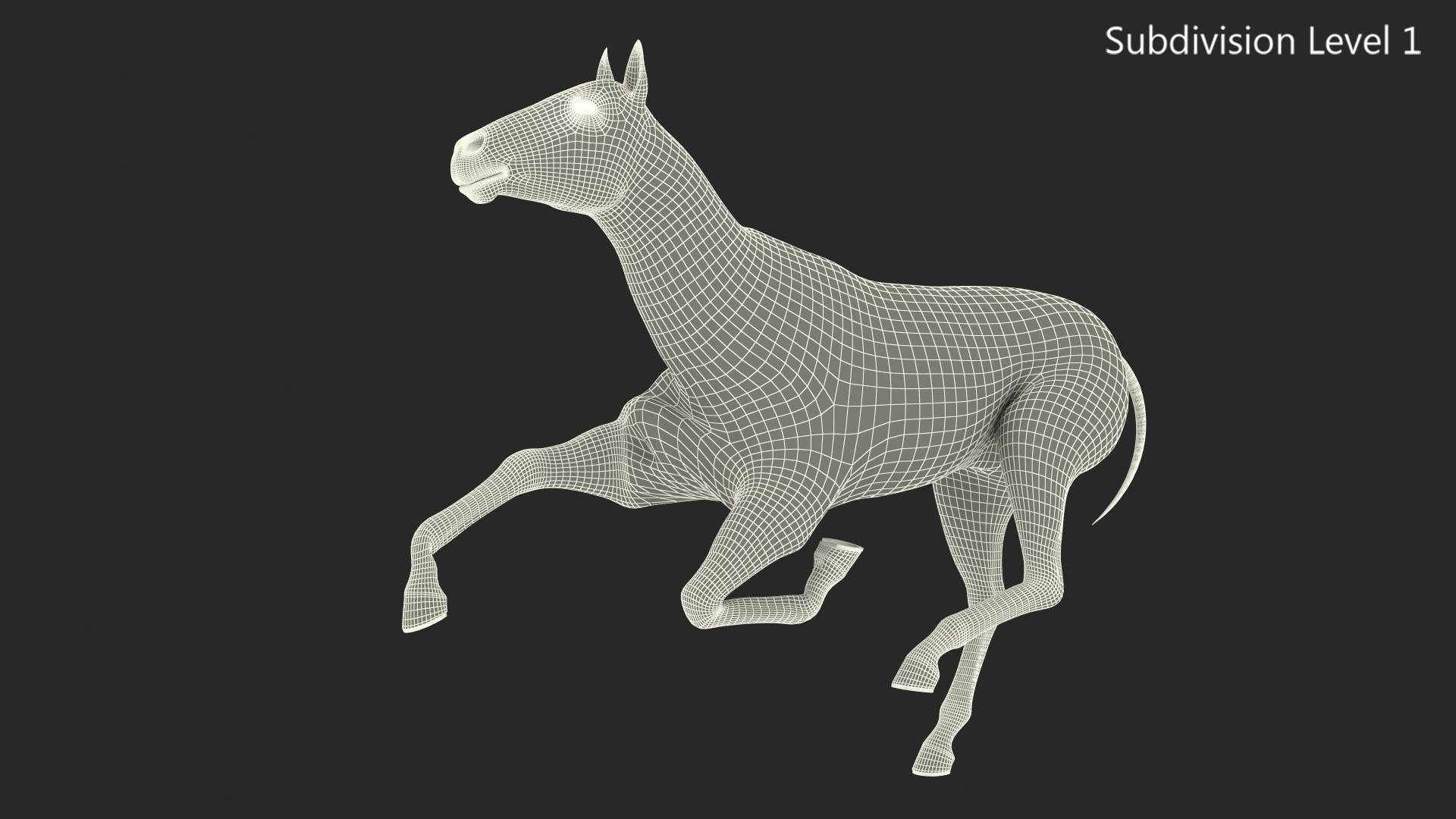3D model Bay Horse Fur Rigged