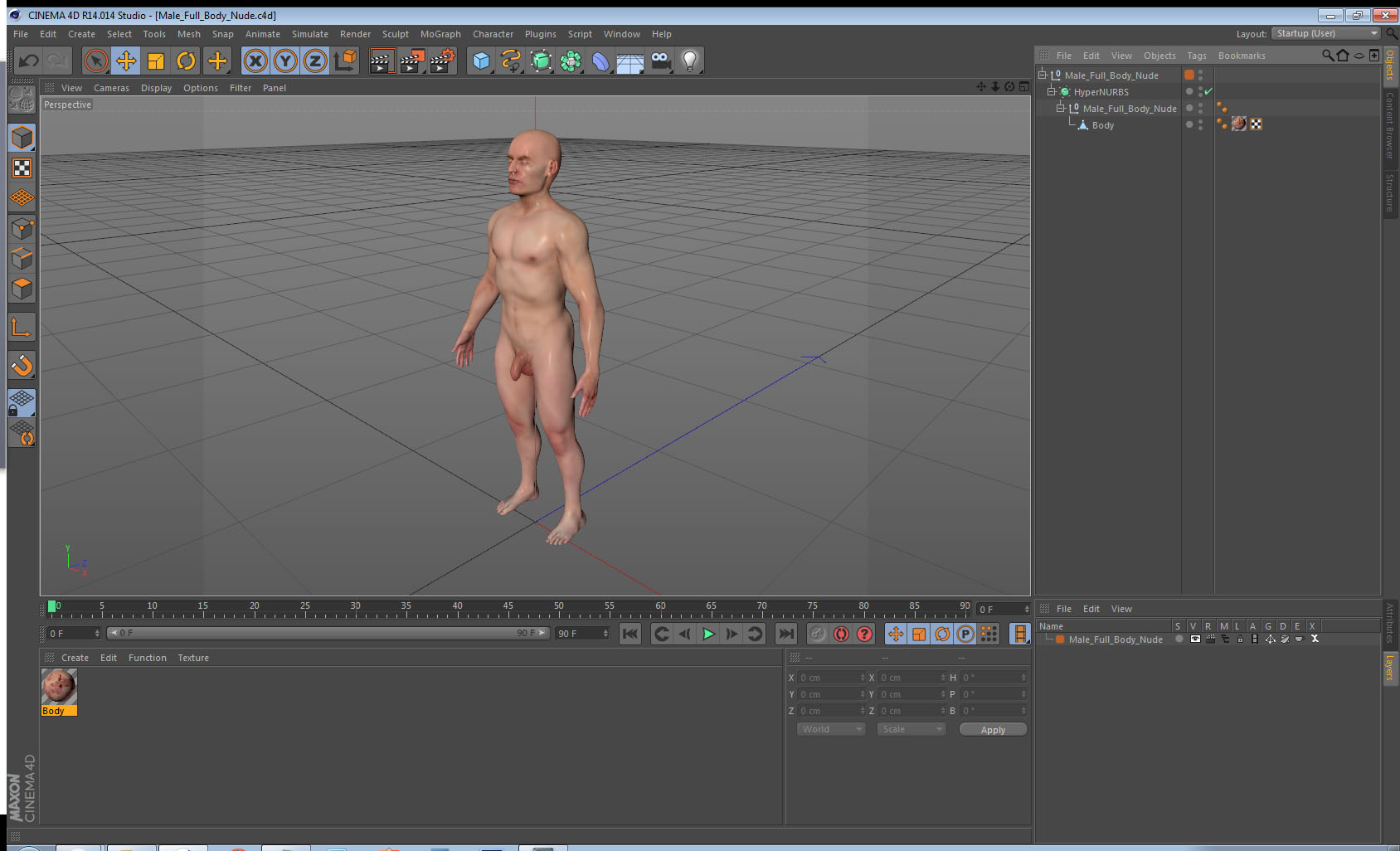 Male Full Body Nude 3D model