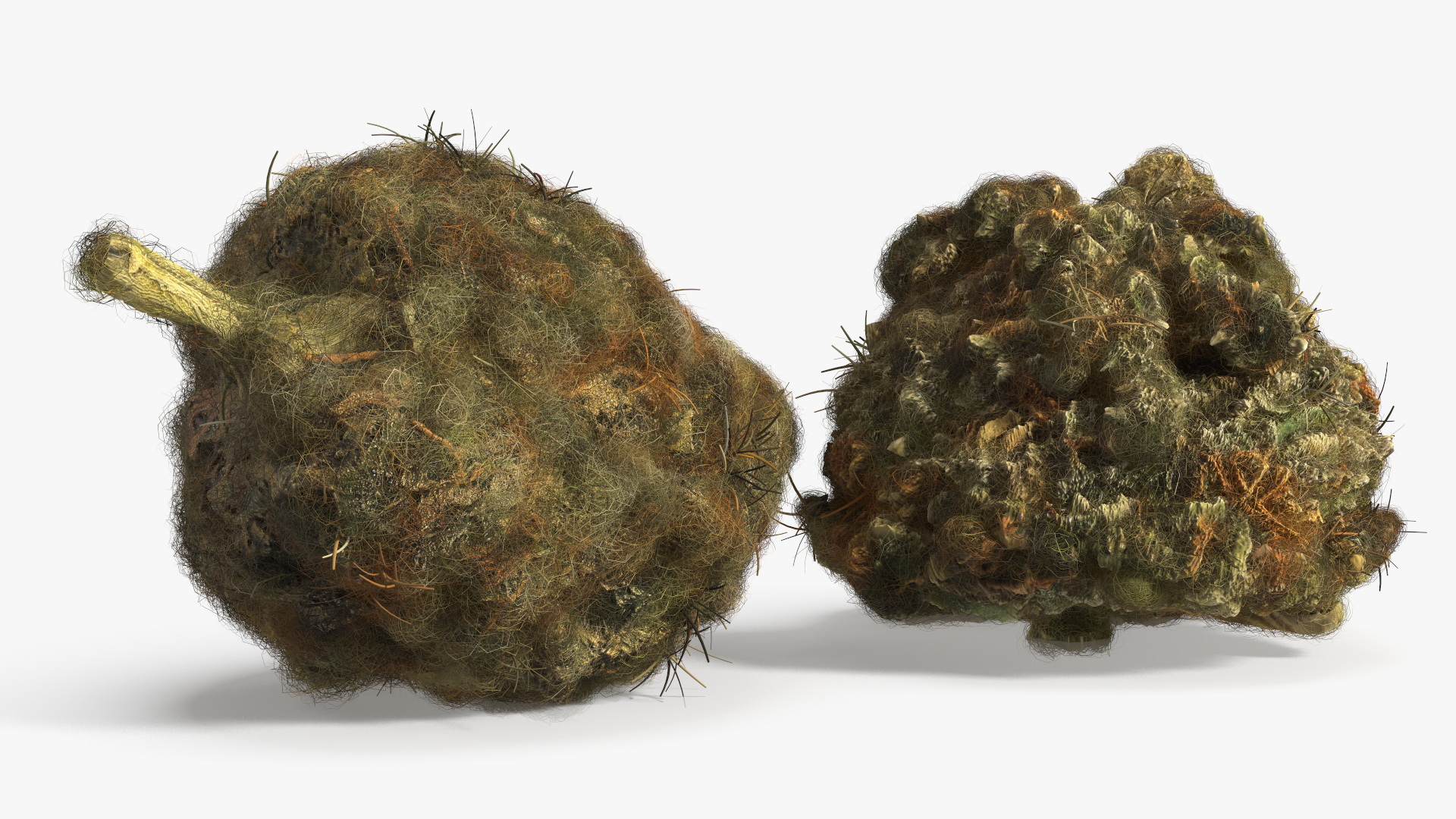Pocket Digital Scale with Cannabis Buds Fur, view 8