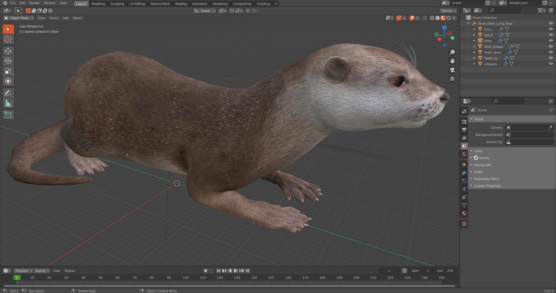 River Otter Lying Pose 3D