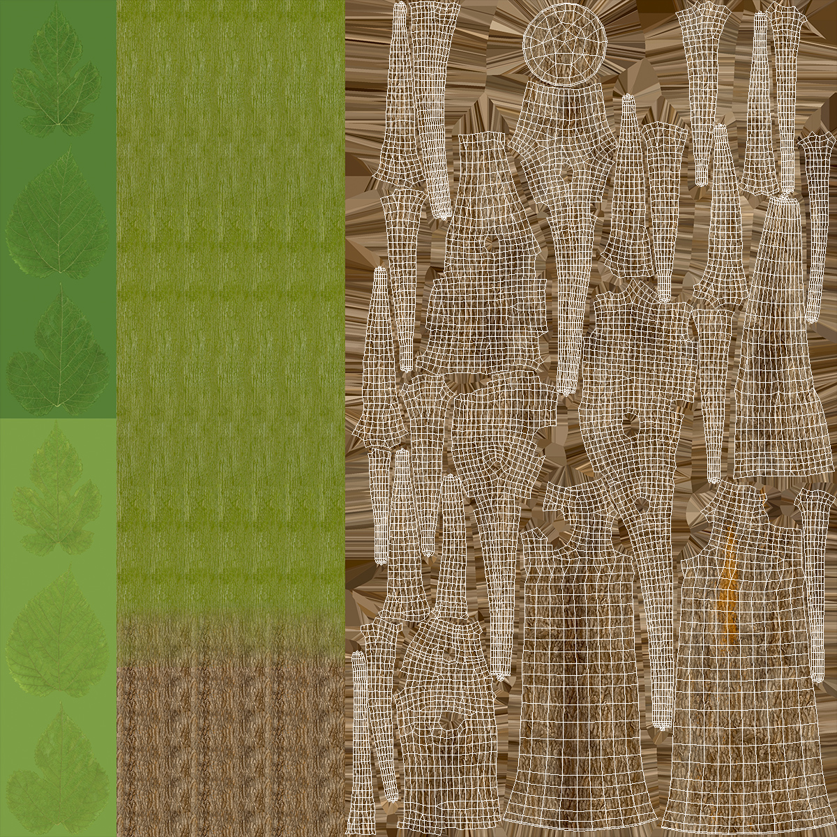 3D Morus Tree Trunk