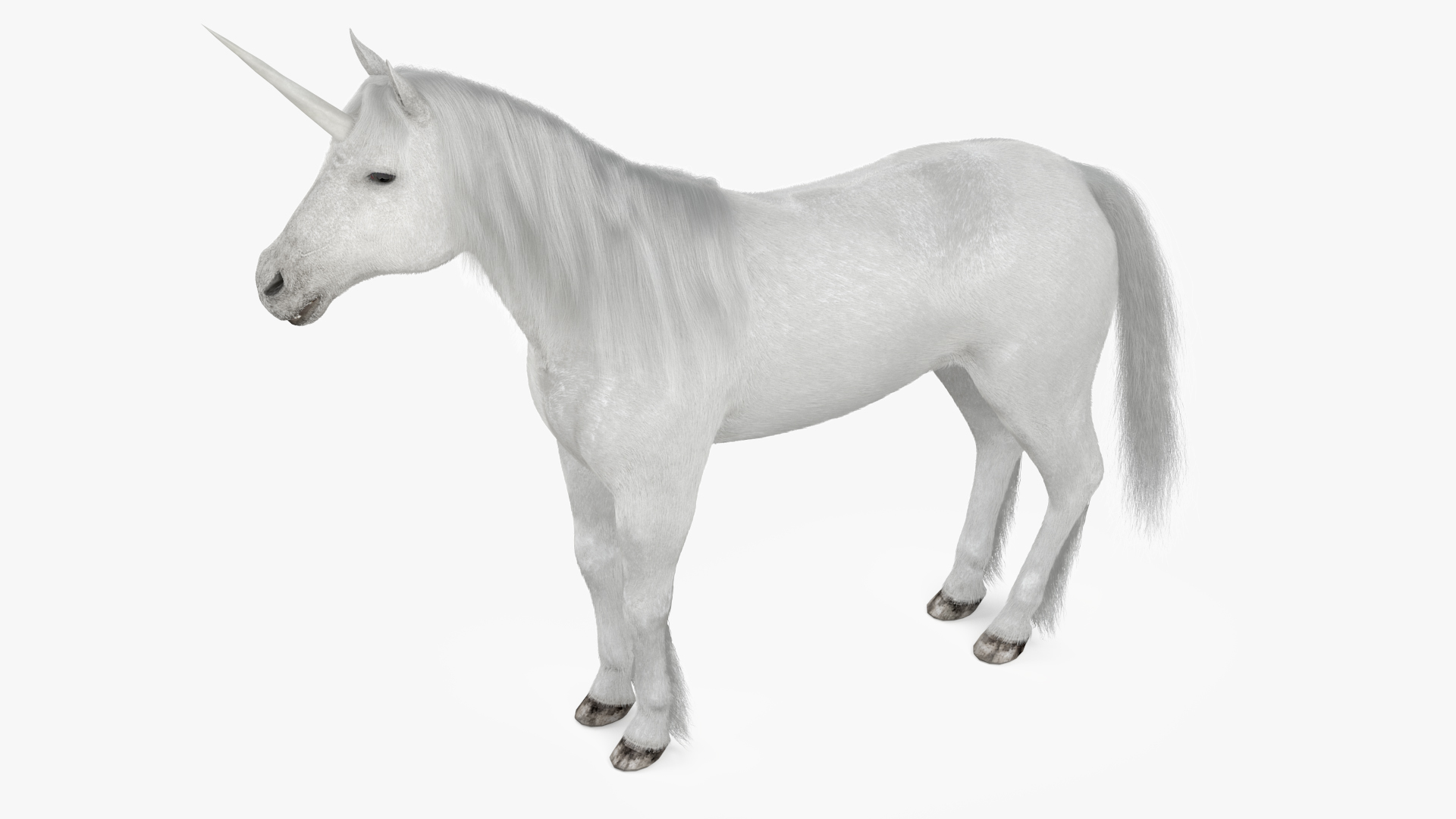 White Unicorn with Fur 3D