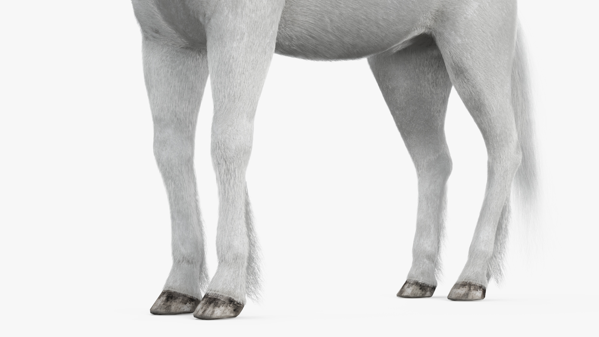 White Unicorn with Fur 3D
