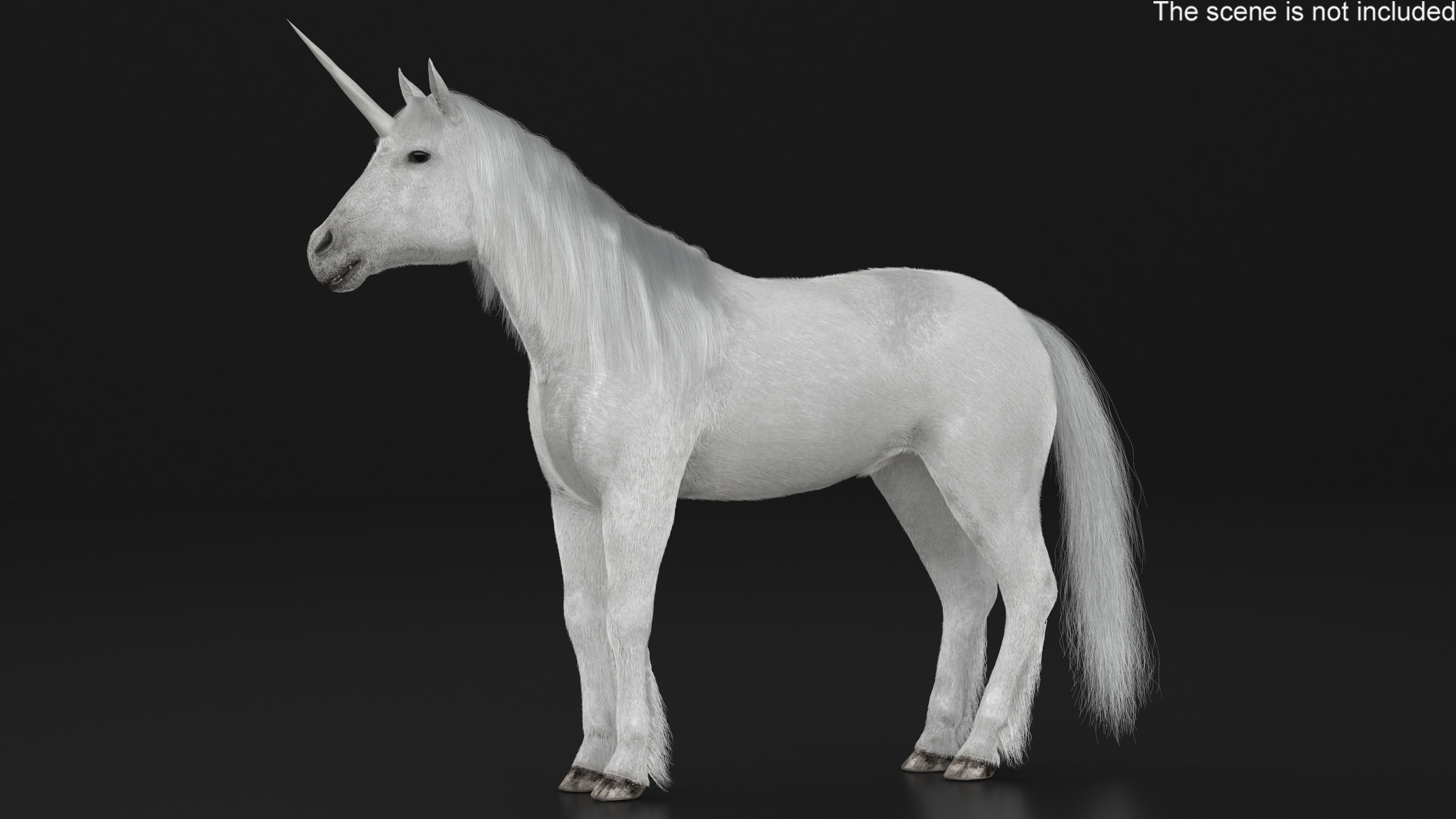 White Unicorn with Fur 3D