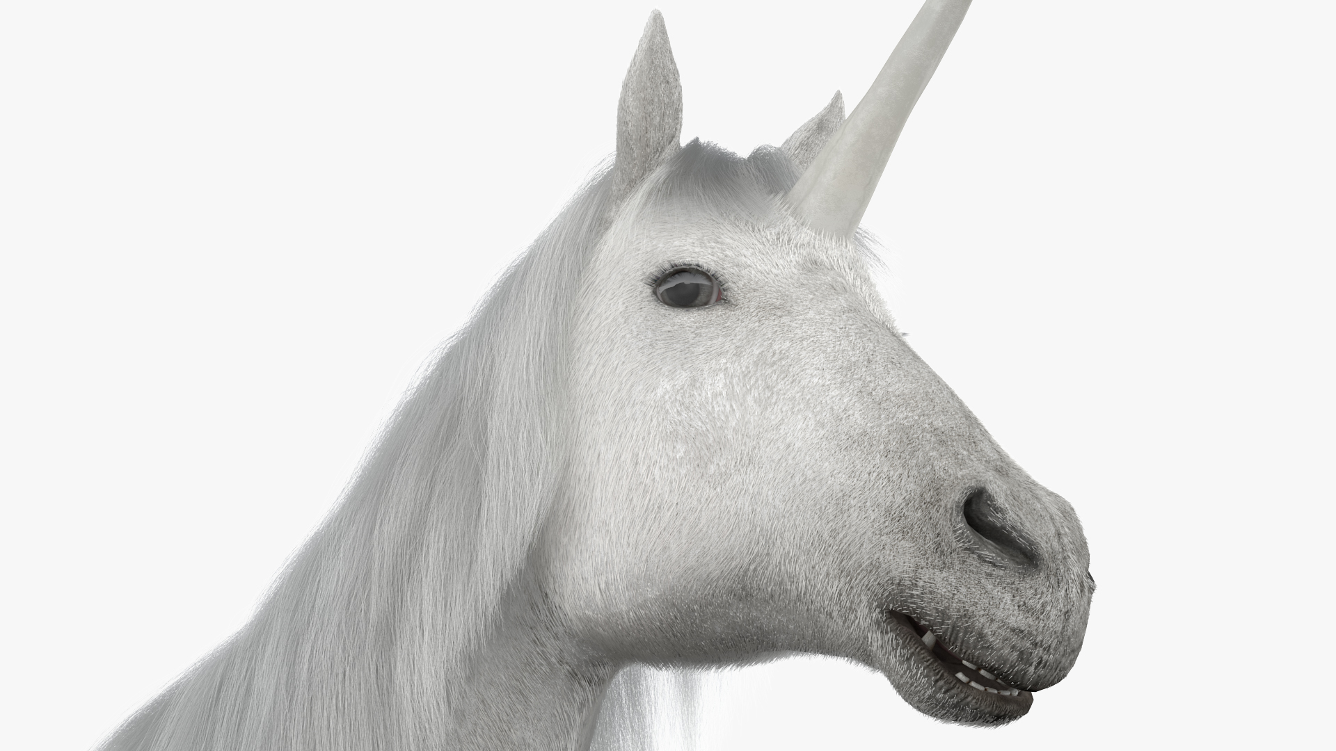 White Unicorn with Fur 3D
